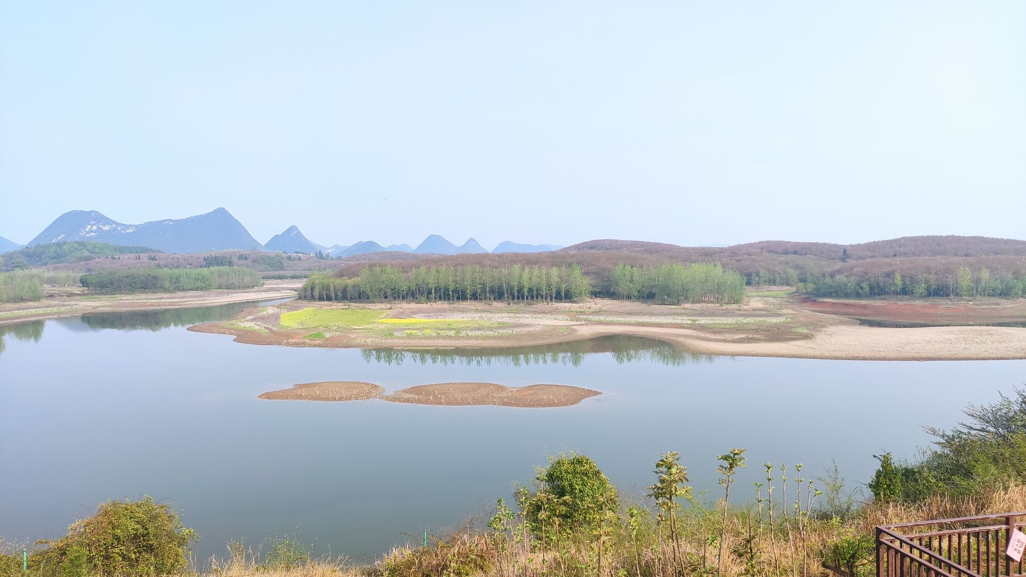 樱花观景台旅行图片 1
