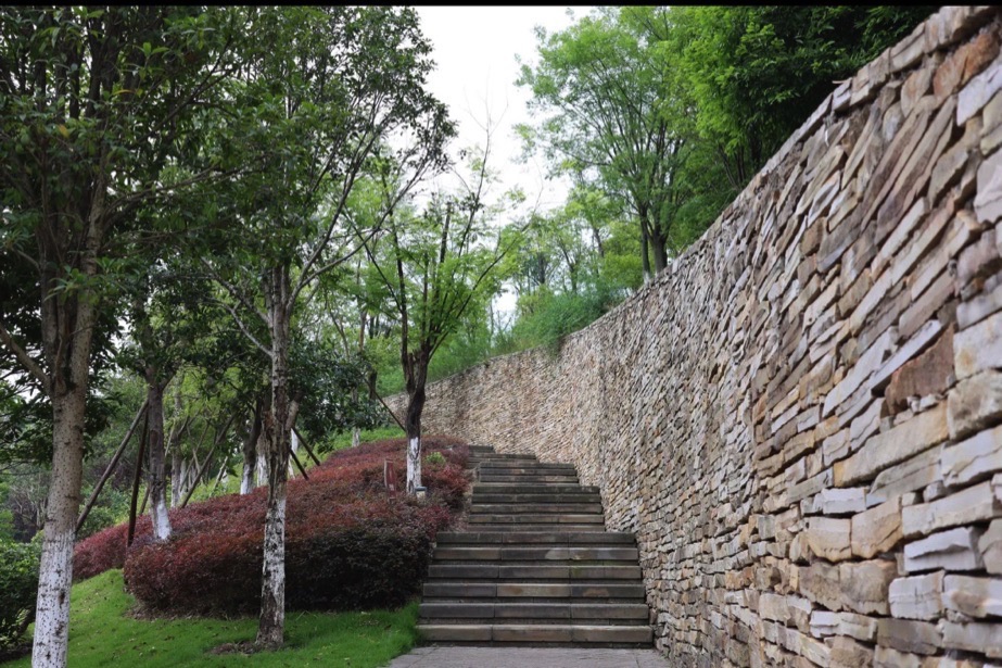 高峰公园旅行图片 1