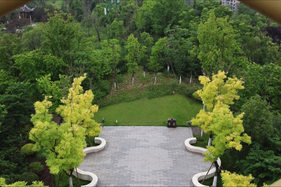高峰公园旅行图片 3