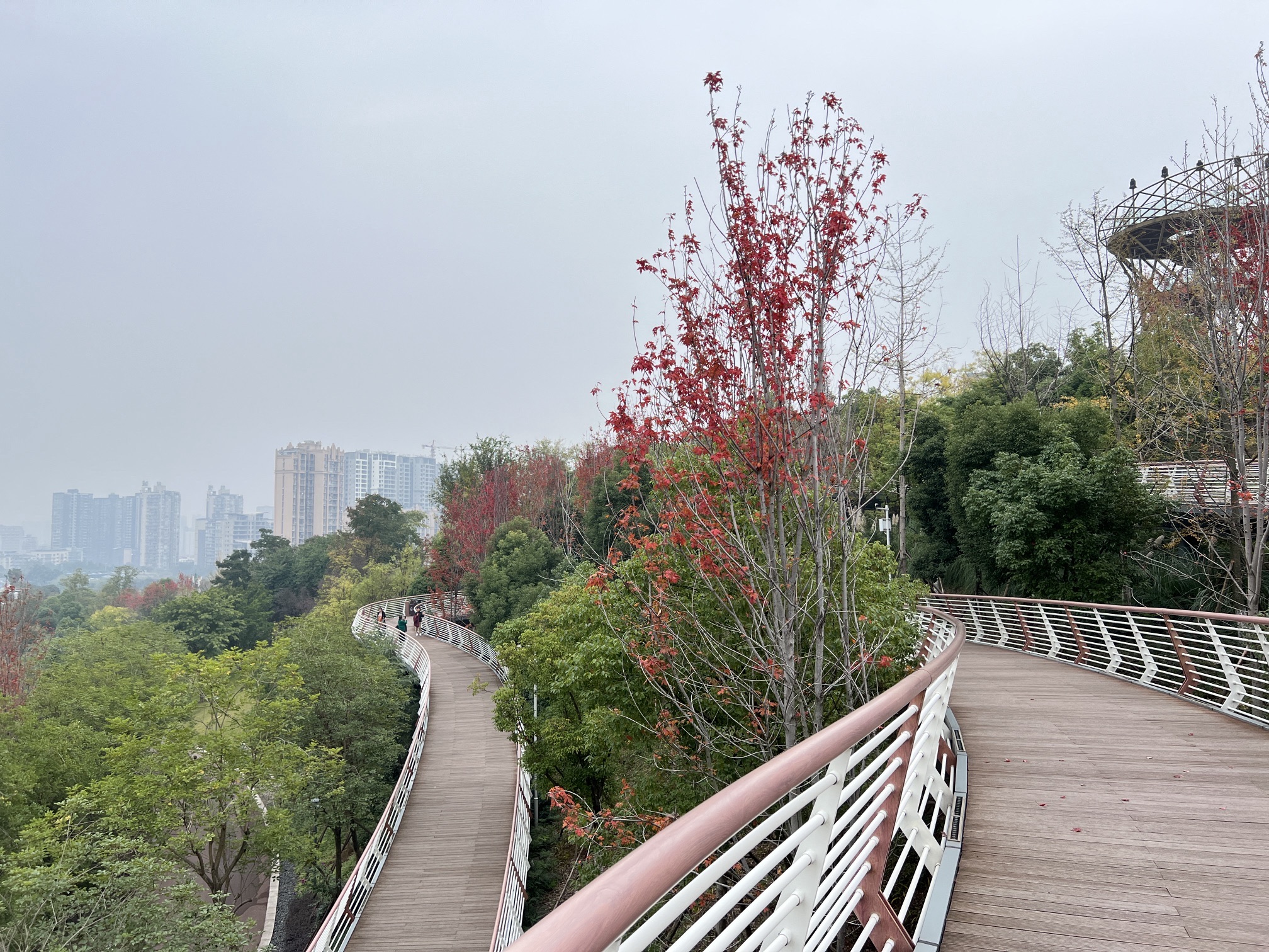 高峰公园旅行图片 3