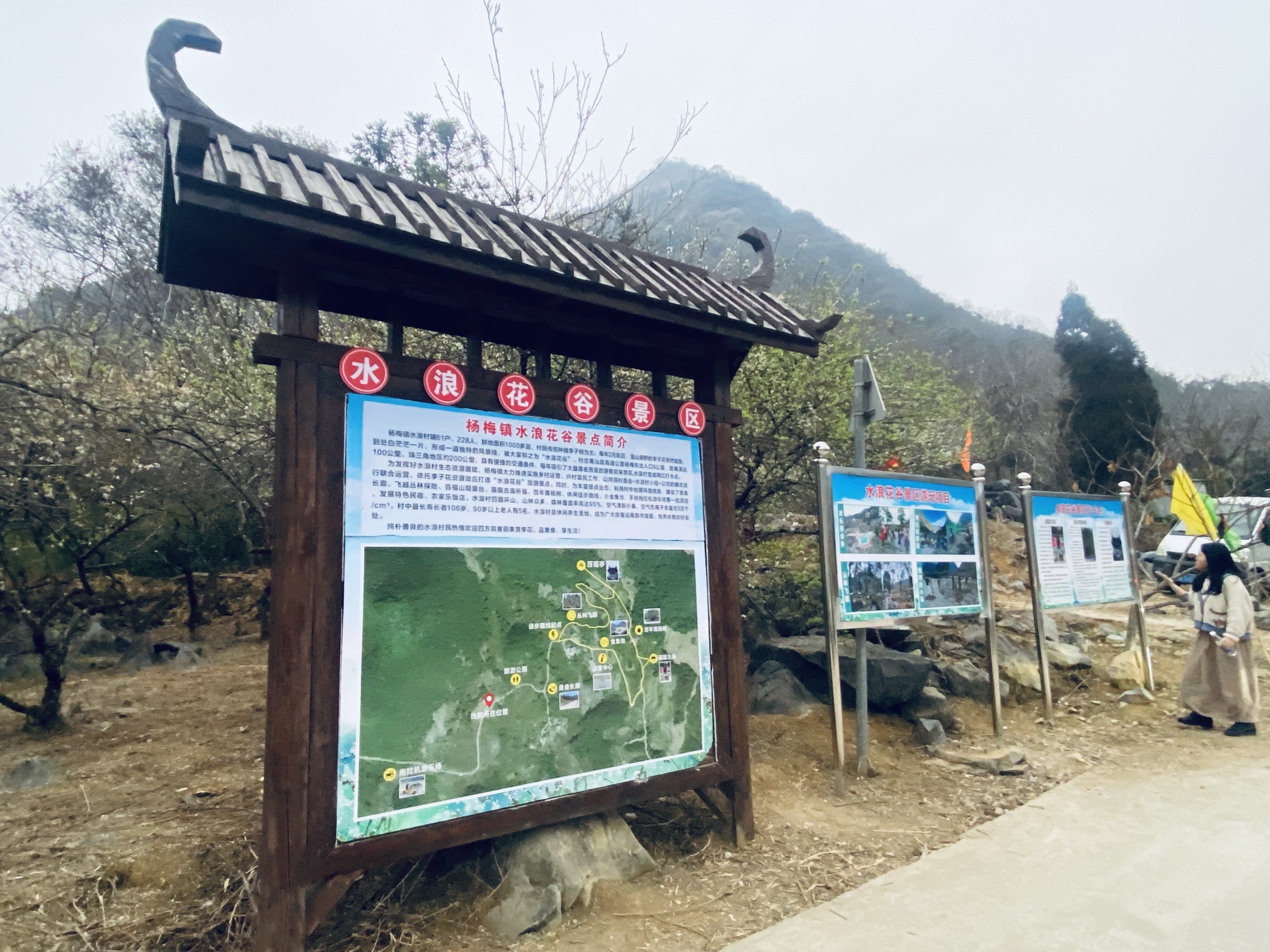 千亩李花基地旅行图片 3