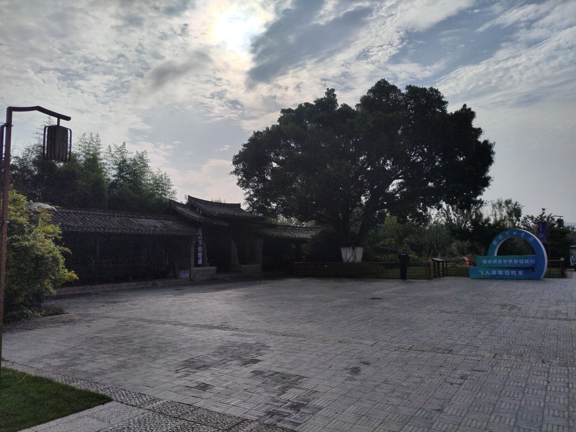 三垟湿地-榕树园