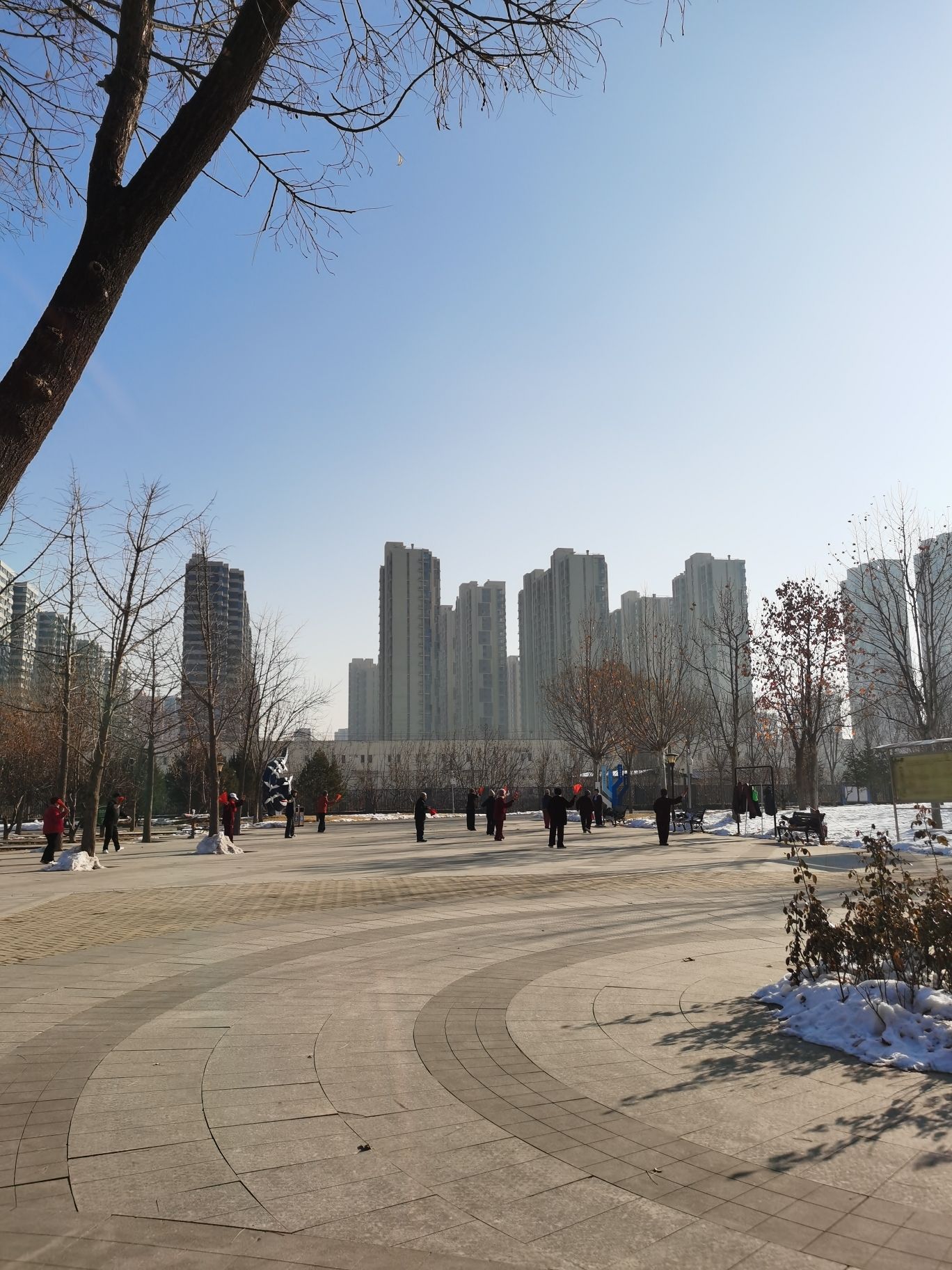 西兆通公园旅行图片 3