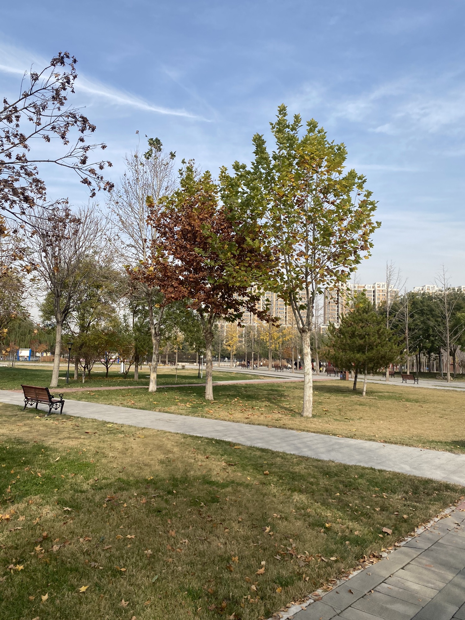 西兆通公园旅行图片 3