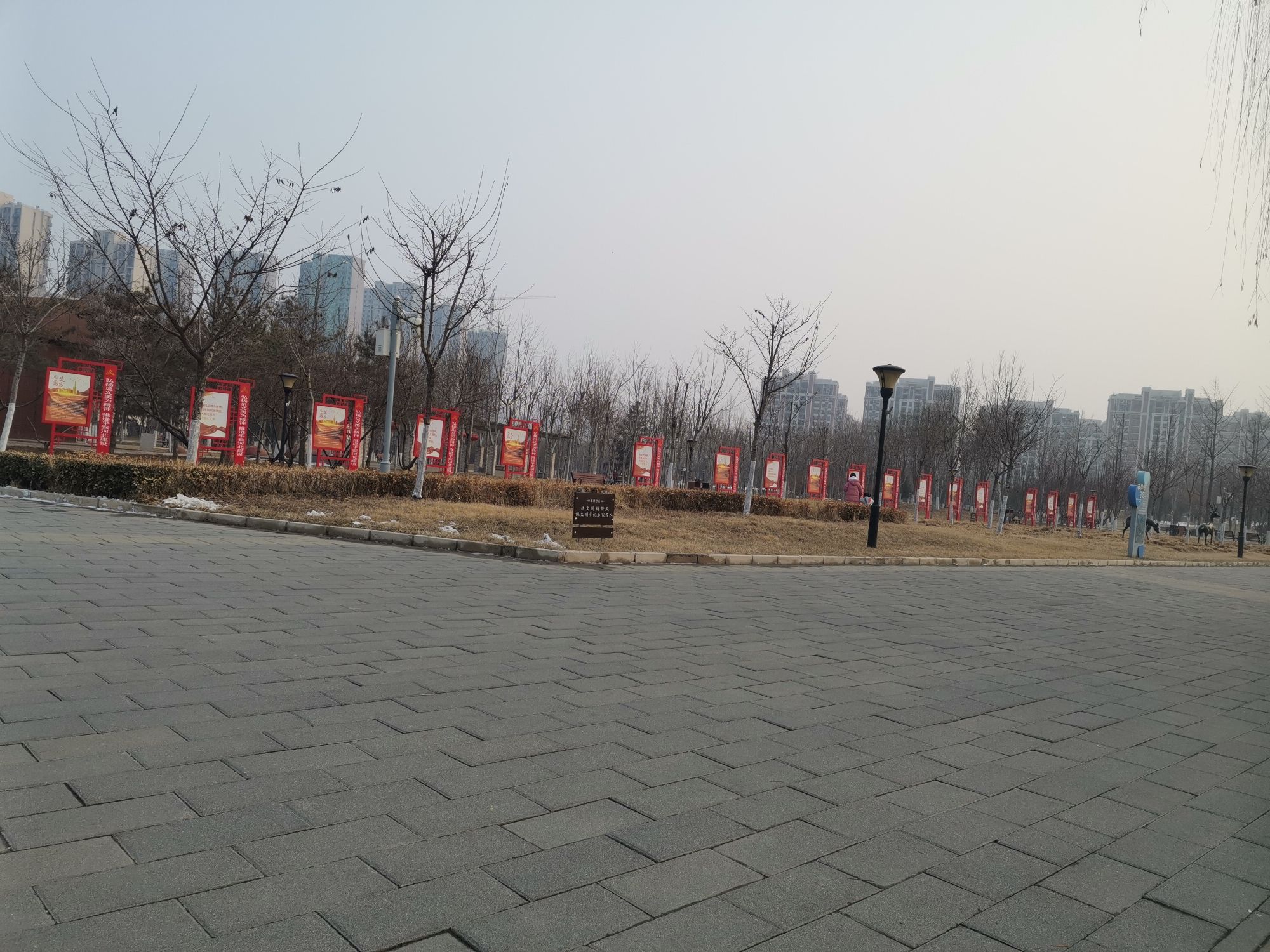 西兆通公园旅行图片 1