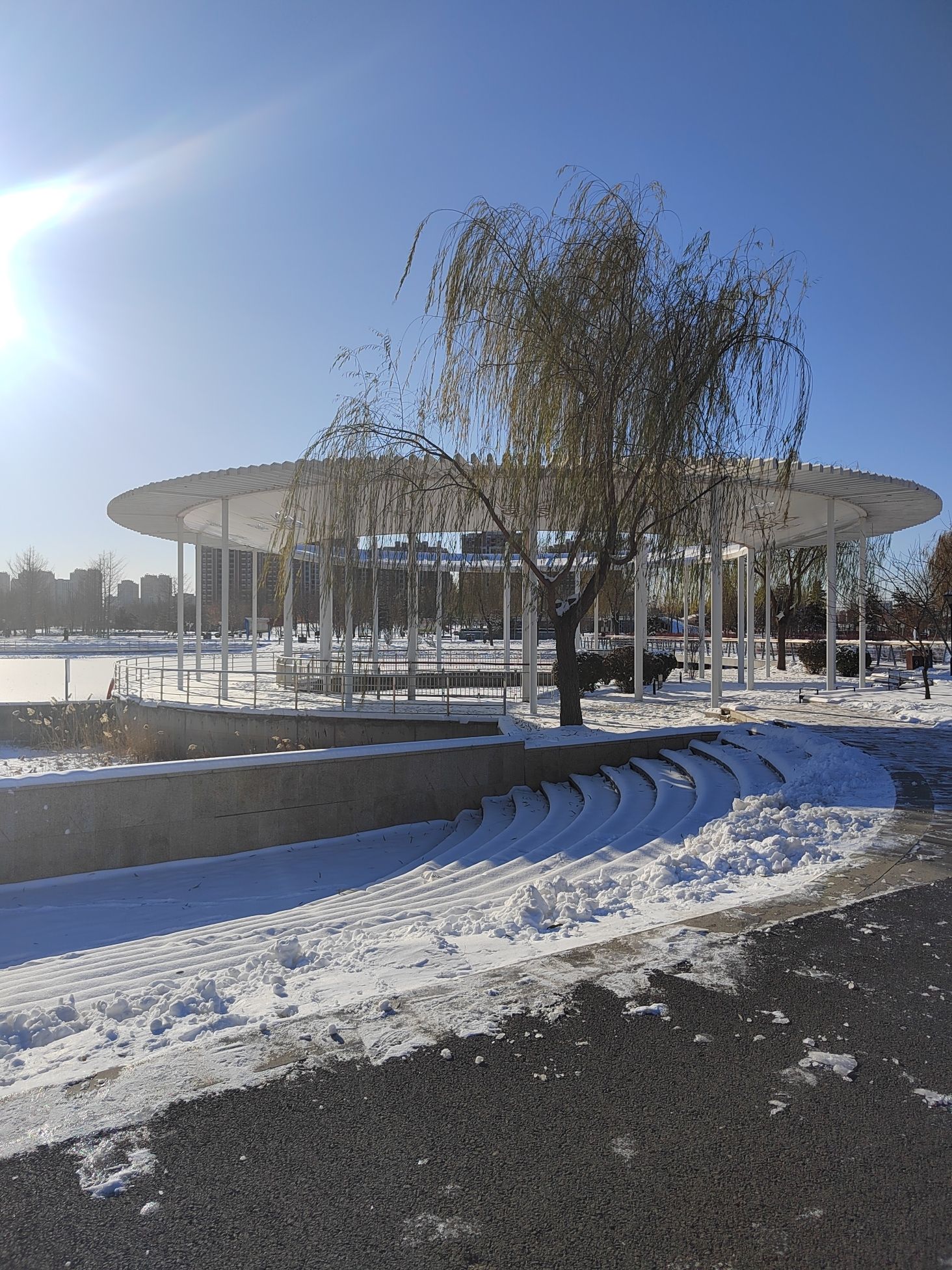 西兆通公园旅行图片 3