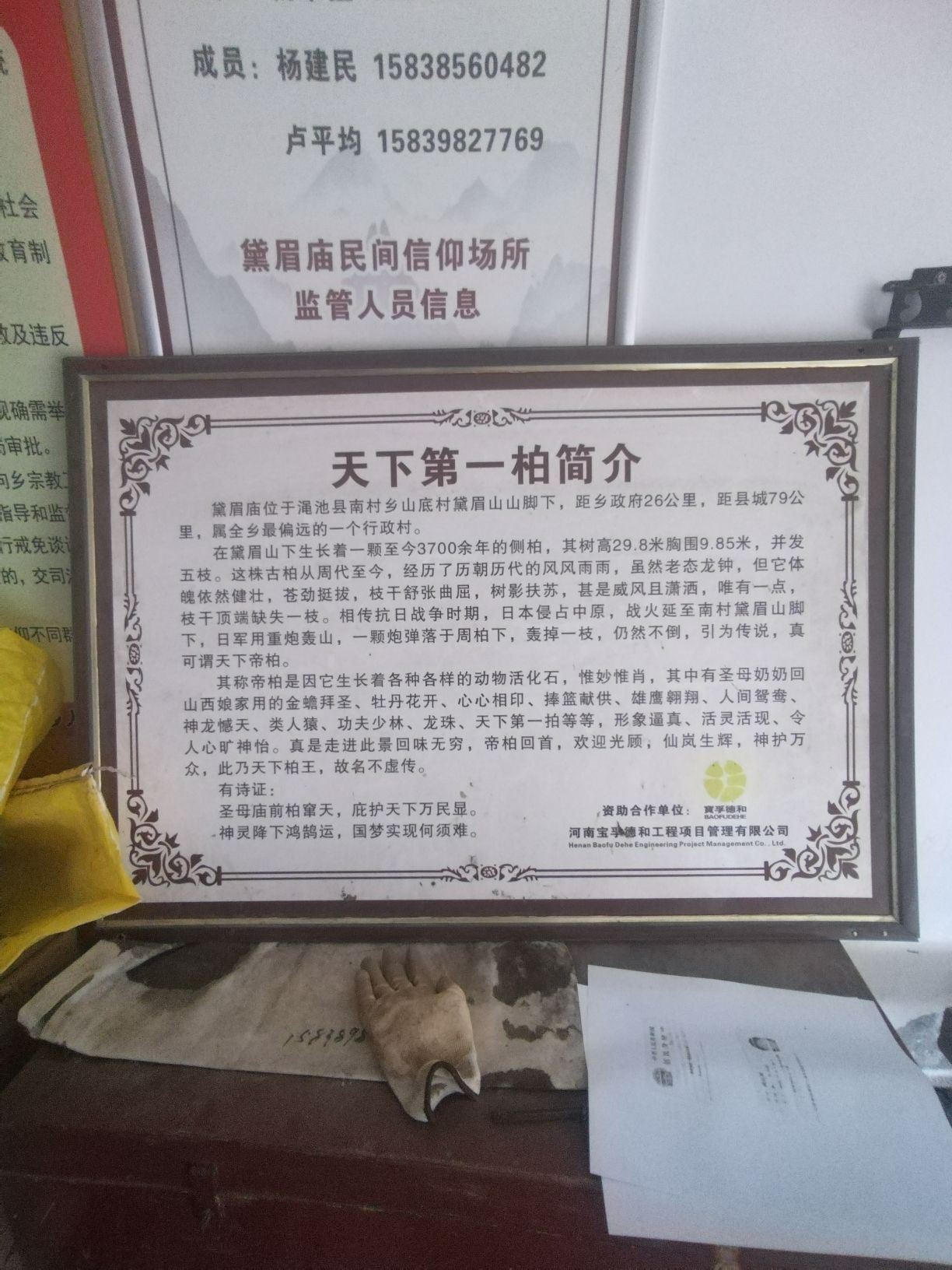 大柏树景区旅行图片 3
