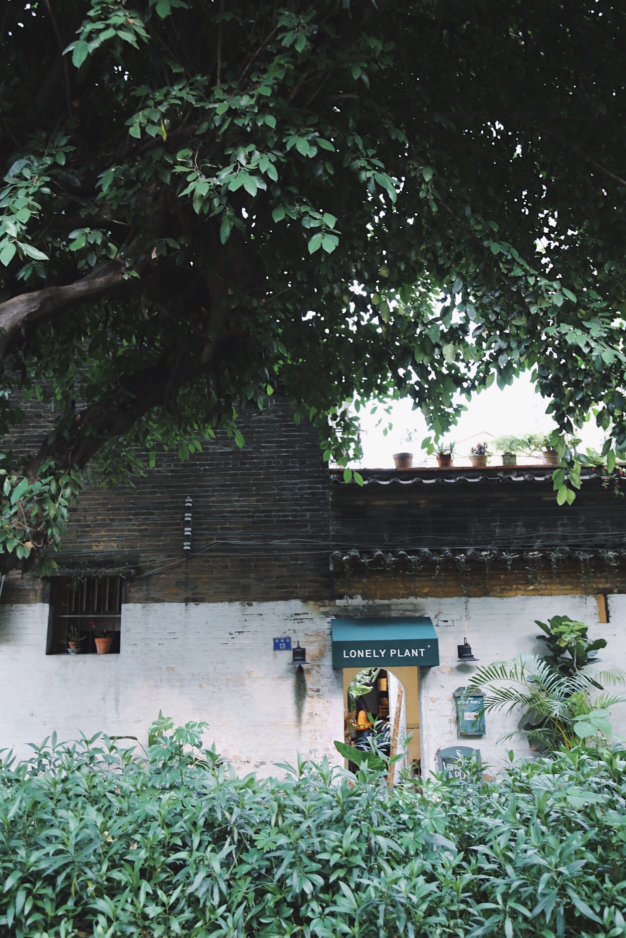 LONELY PLANT花店