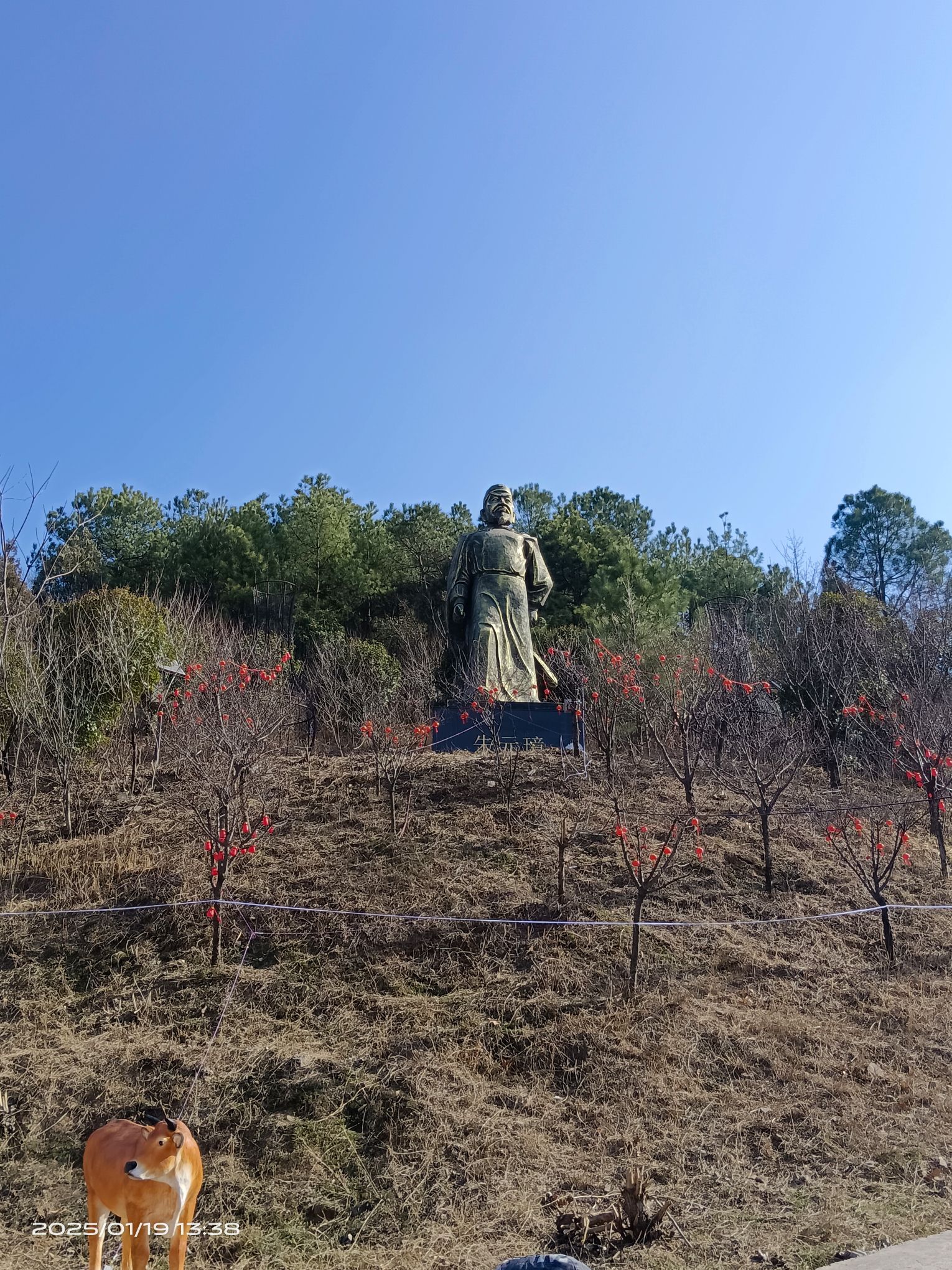 牤牛岭风情花博园旅行图片 2
