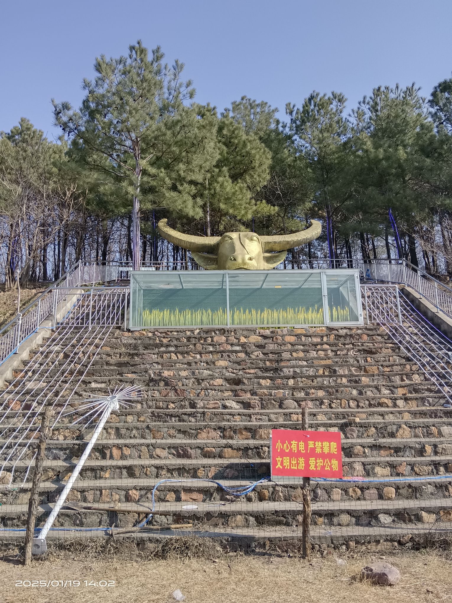 牤牛岭风情花博园旅行图片 1