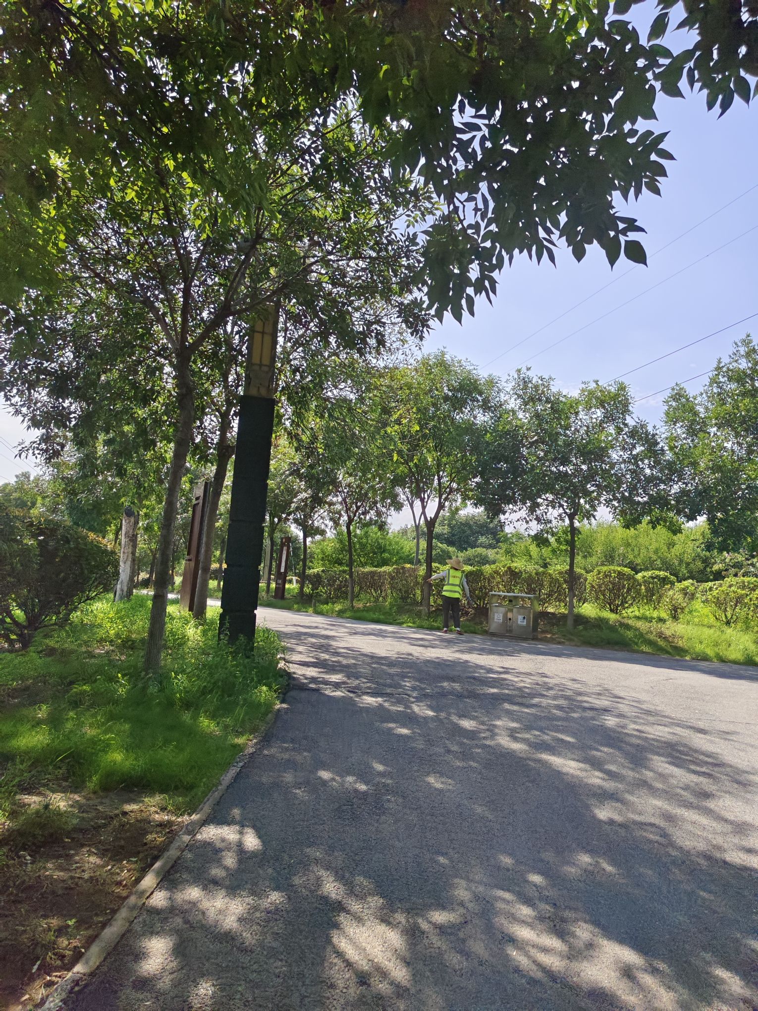 闫河公园旅行图片 3