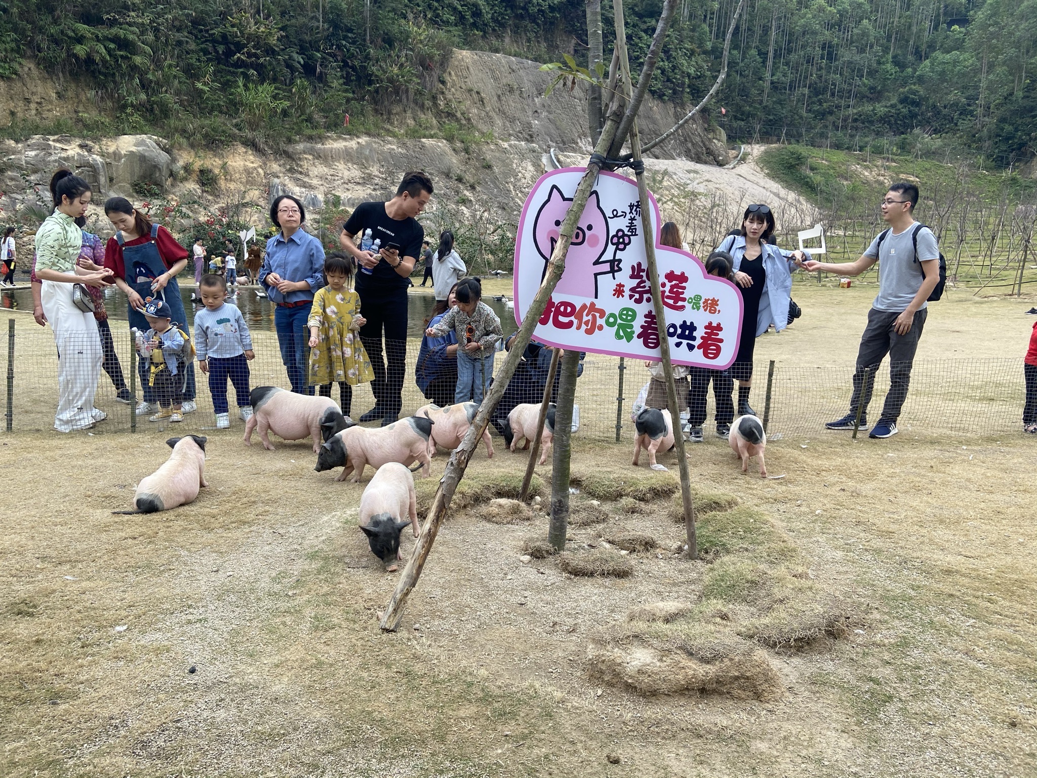紫莲生态旅游度假区旅行图片 1