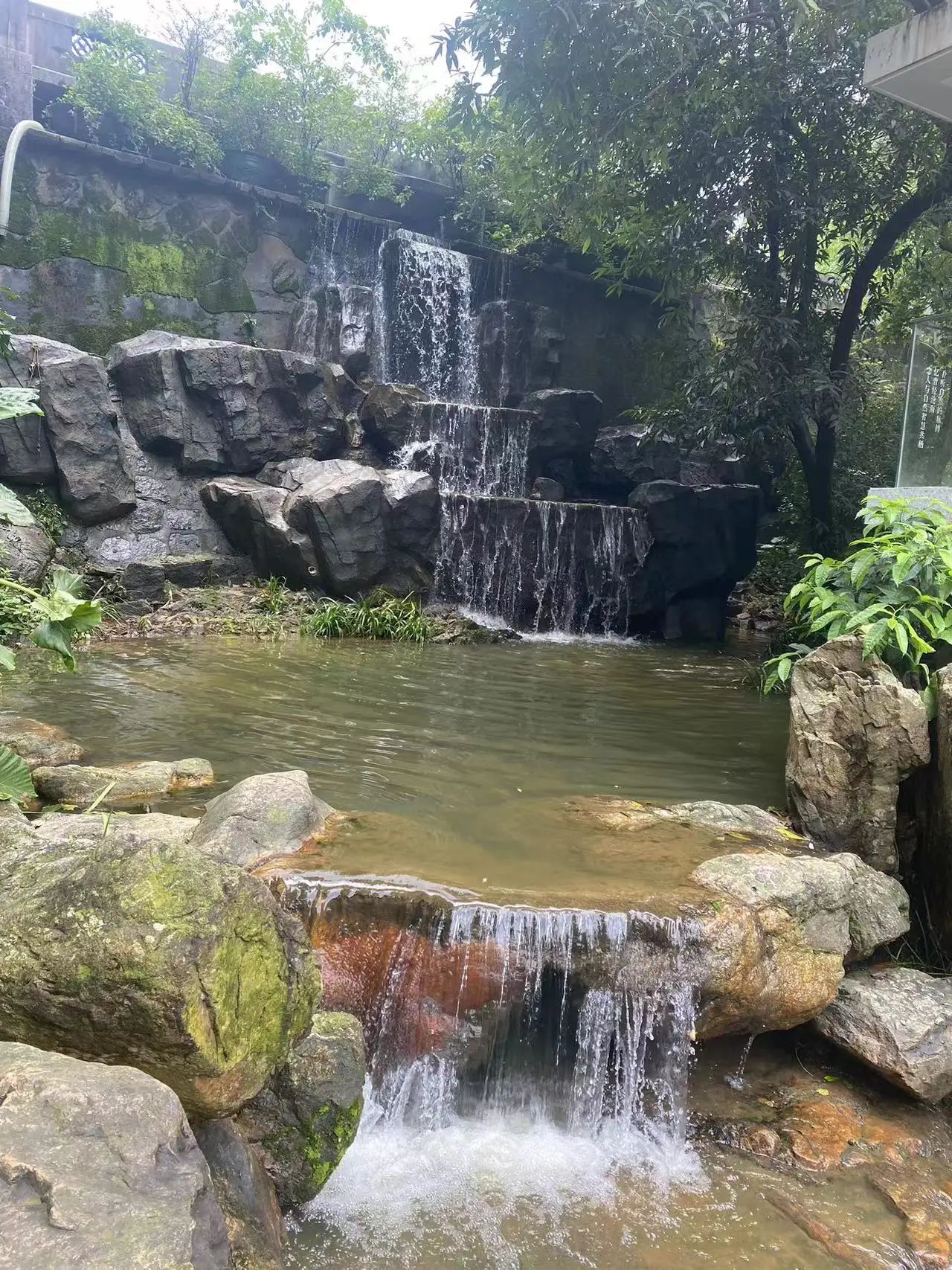紫莲生态旅游度假区旅行图片 3