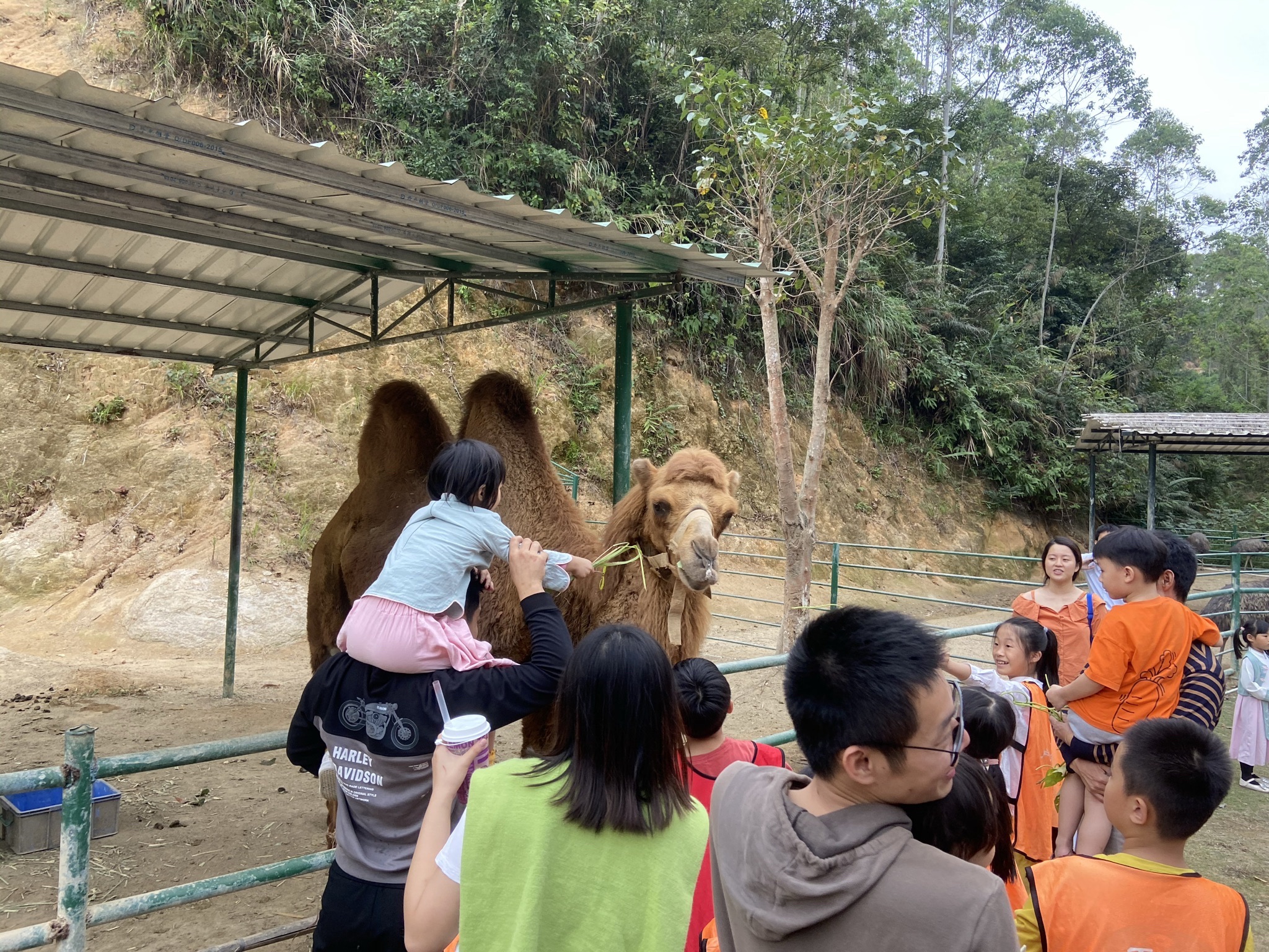 紫莲生态旅游度假区旅行图片 3