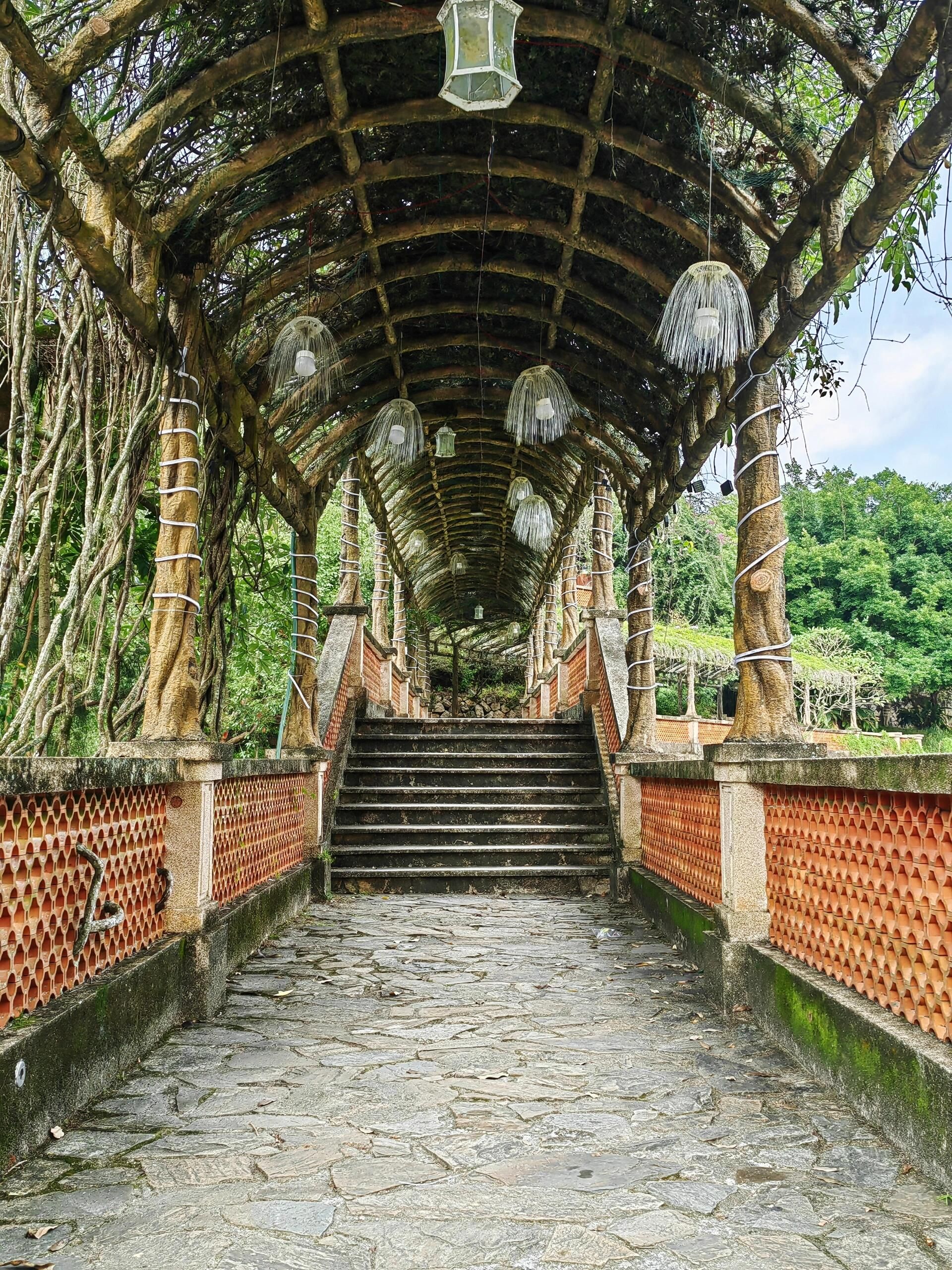 紫莲生态旅游度假区旅行图片 3