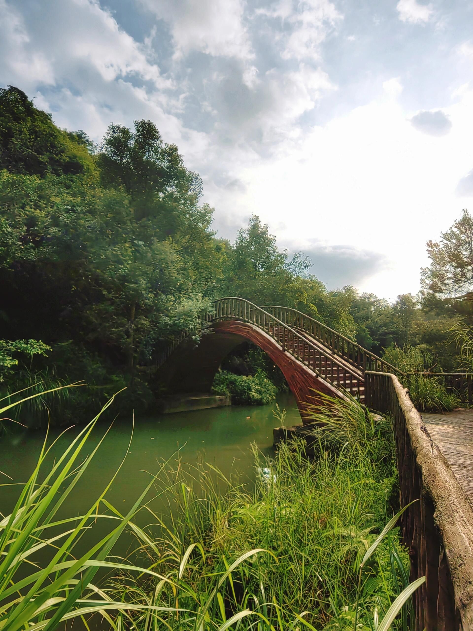 紫莲生态旅游度假区旅行图片 2