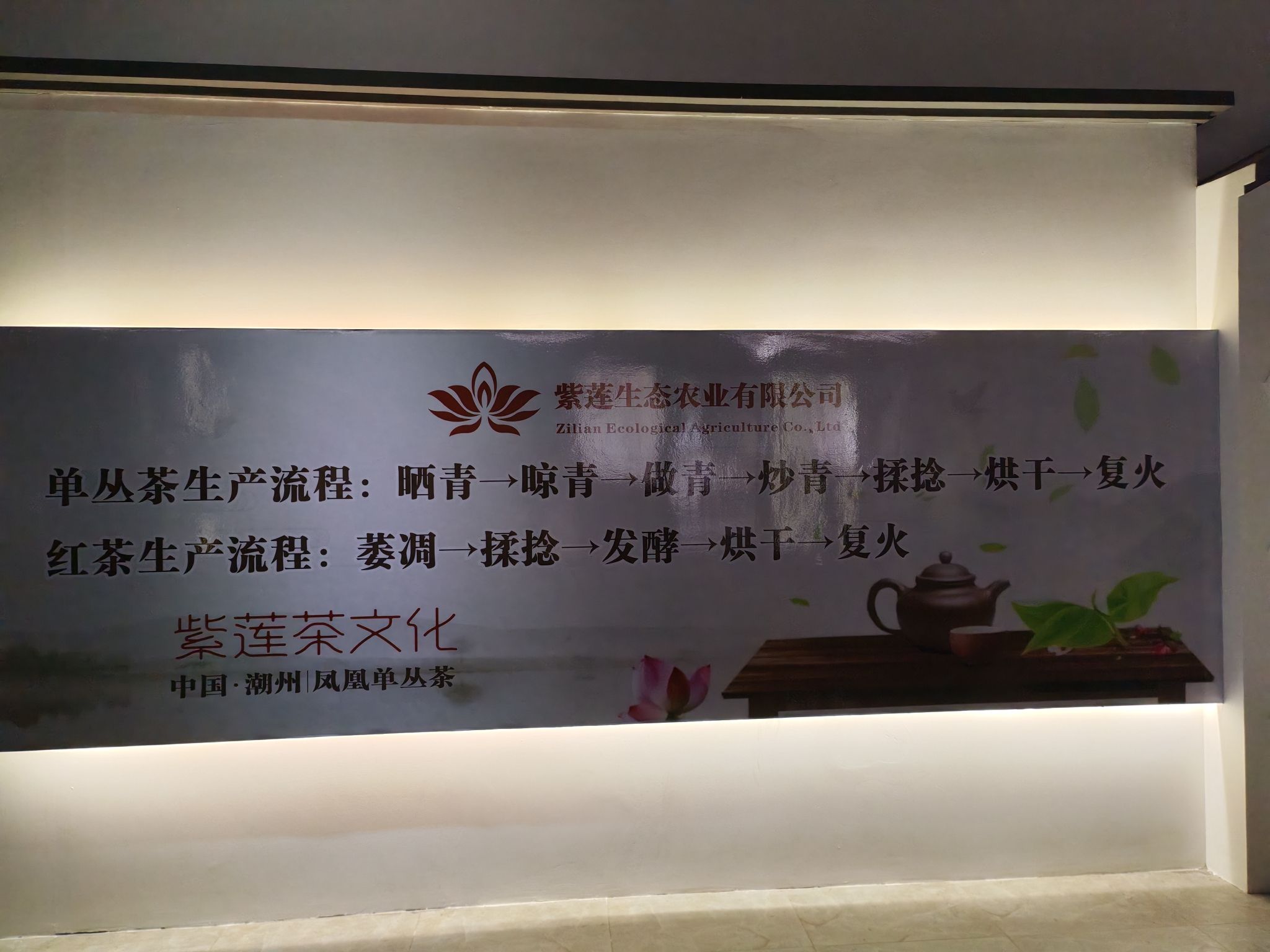 紫莲生态旅游度假区旅行图片 1