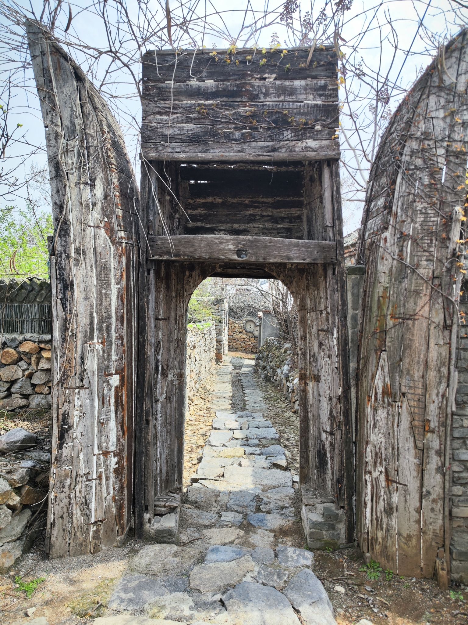 石头部落旅行图片 3