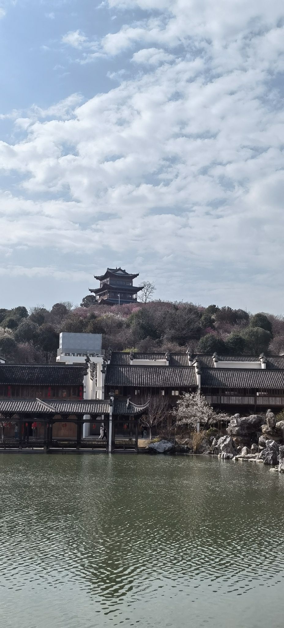 遇园旅行图片 2