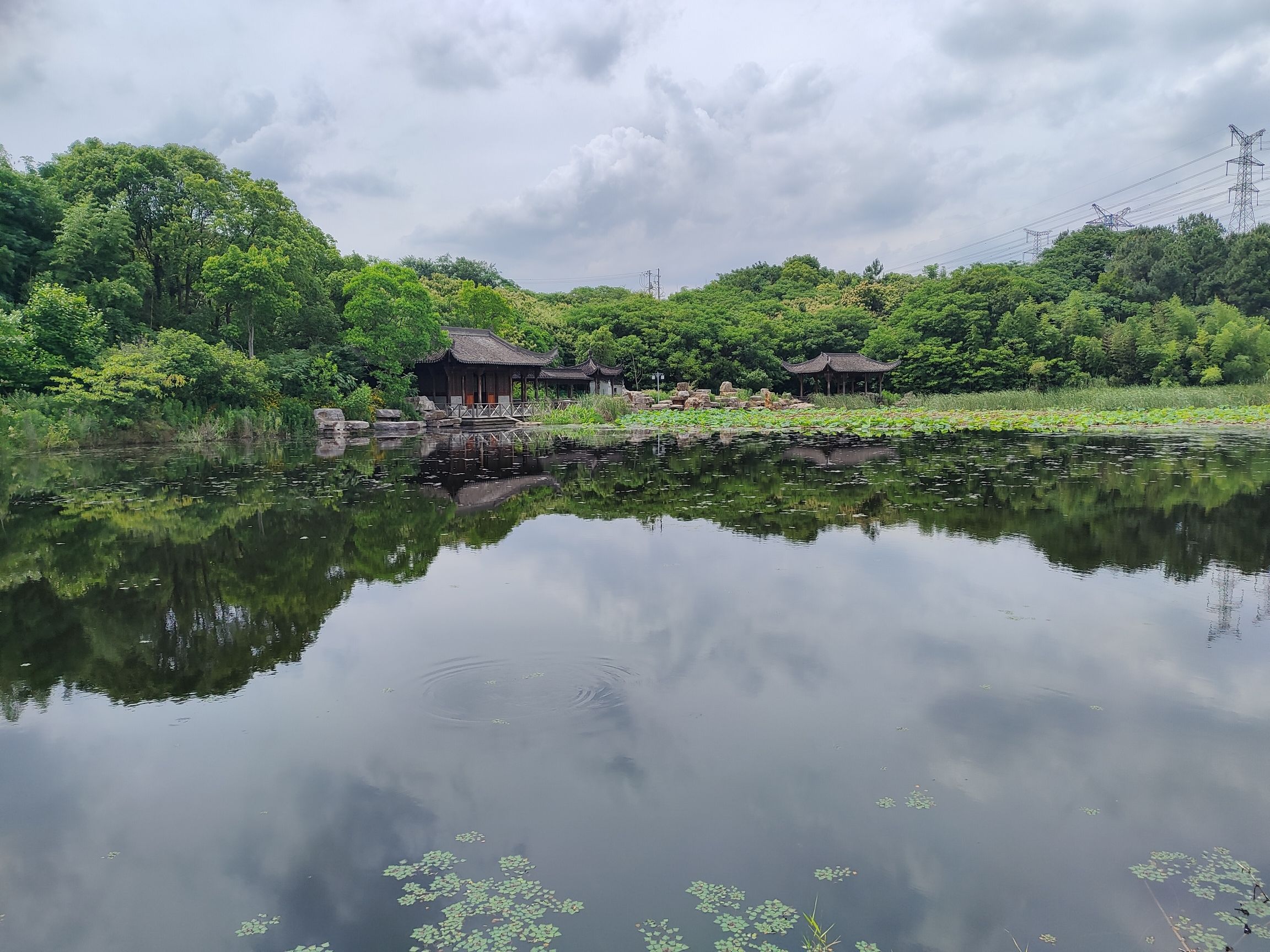 遇园旅行图片 3