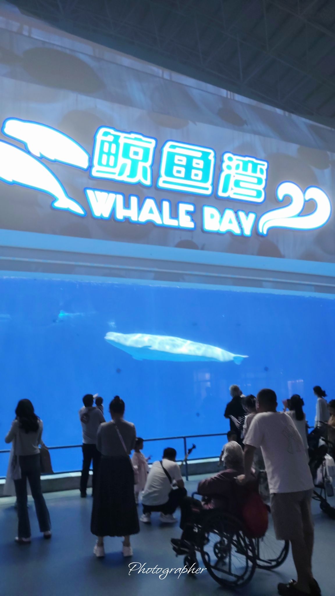 徐州欧乐堡海洋极地世界旅行图片 2
