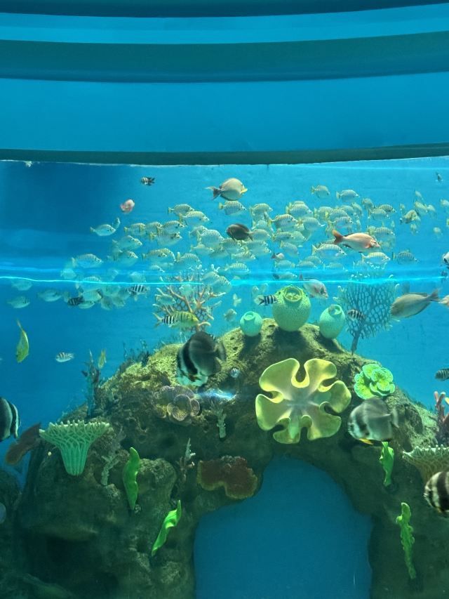 徐州欧乐堡海洋极地世界旅行图片 3