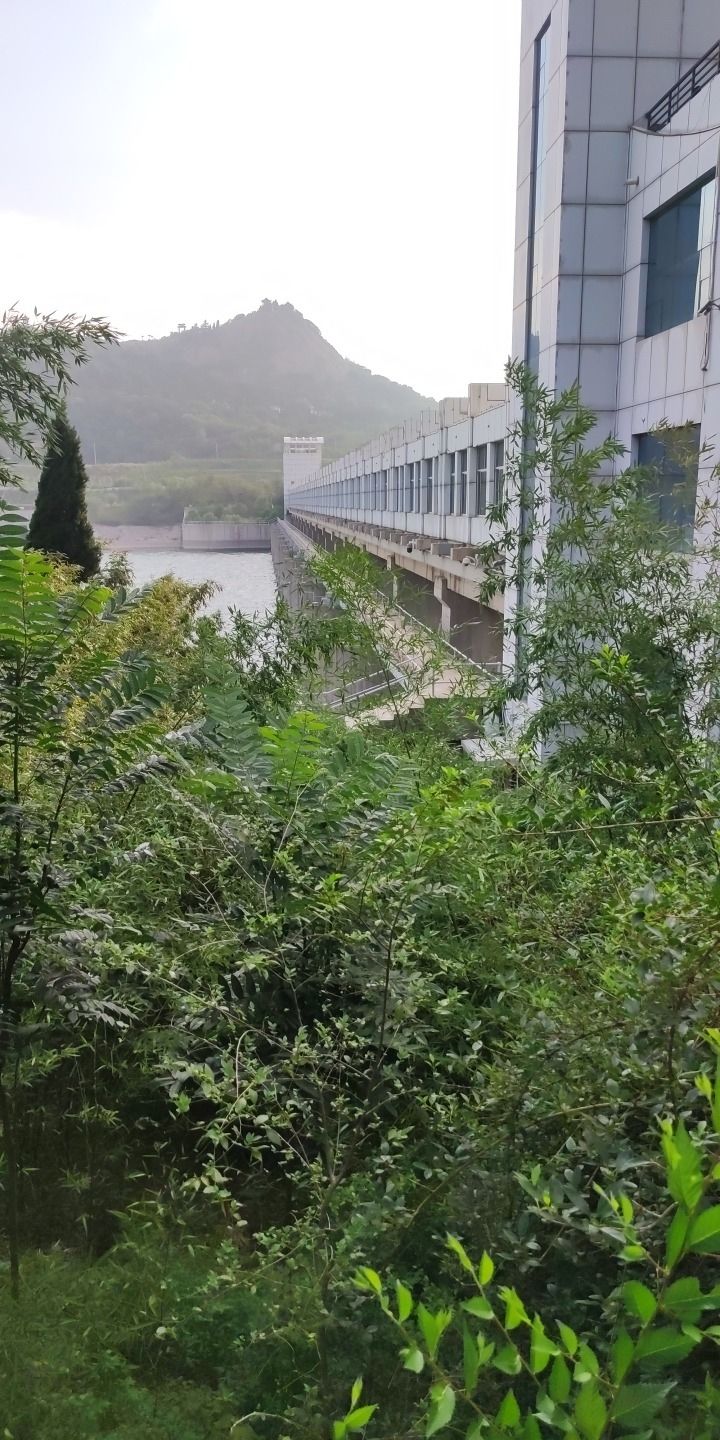 峡山区峡山街景点公园旅行图片 3