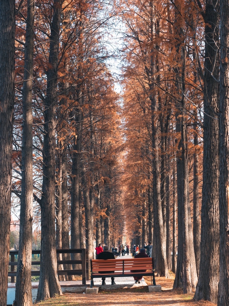 衡阳市植物园旅行图片 1
