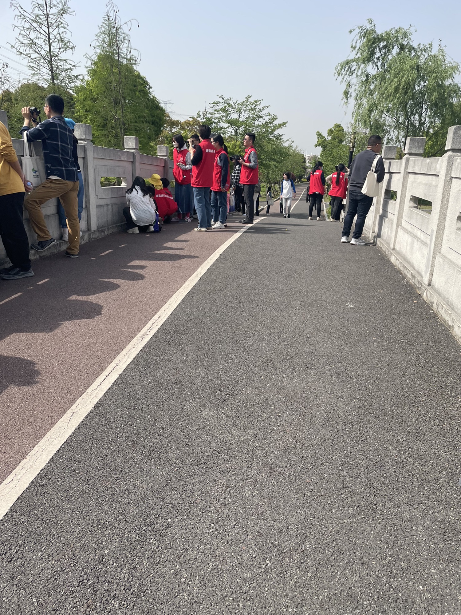唐城绿地文化公园旅行图片 2