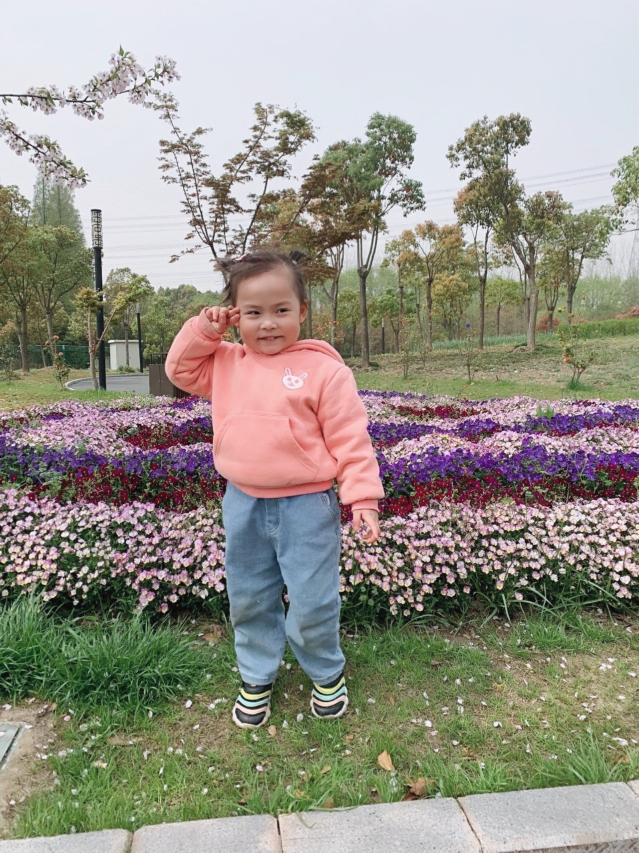 唐城绿地文化公园旅行图片 3