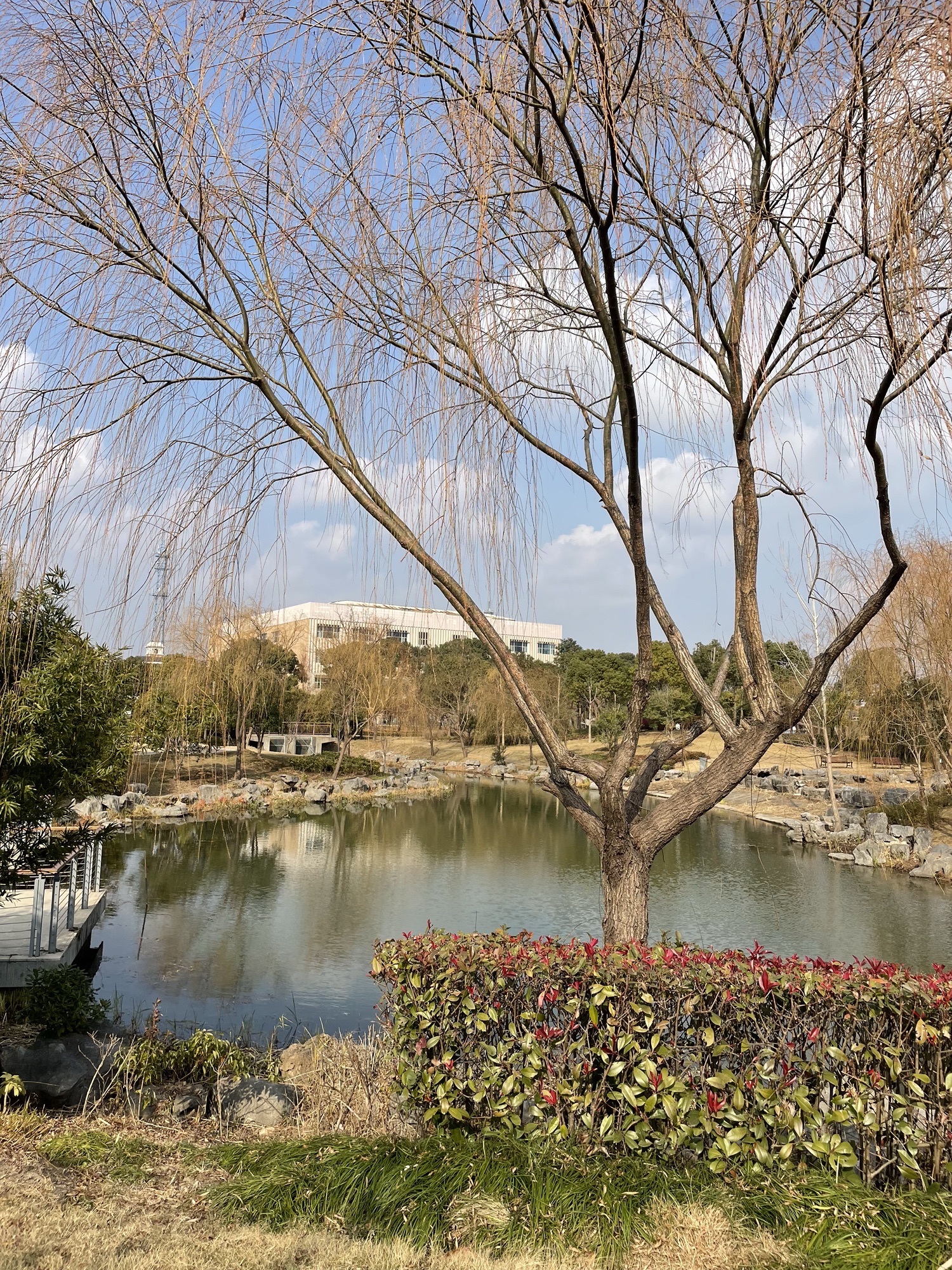 唐城绿地文化公园旅行图片 2