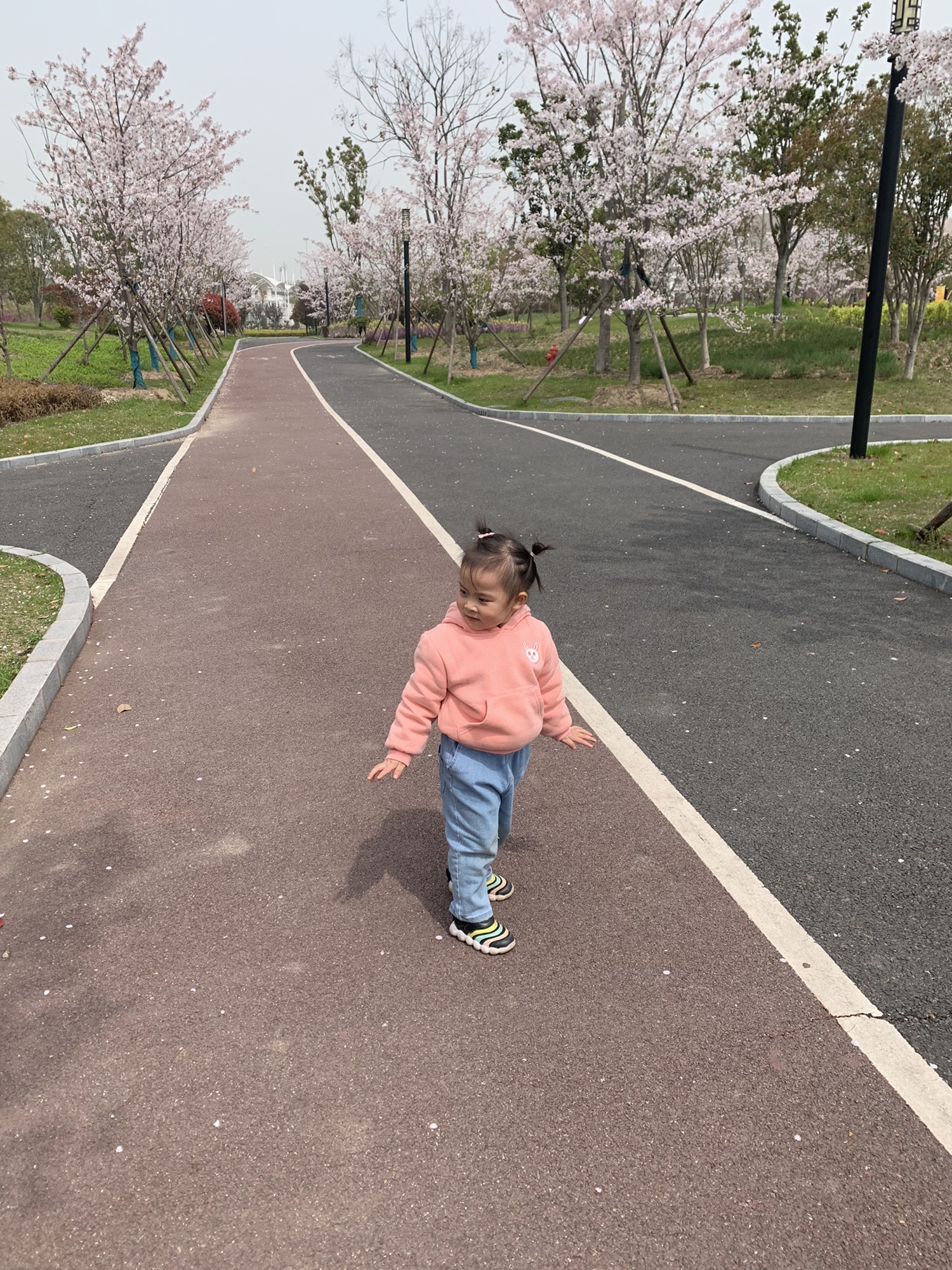 唐城绿地文化公园旅行图片 1