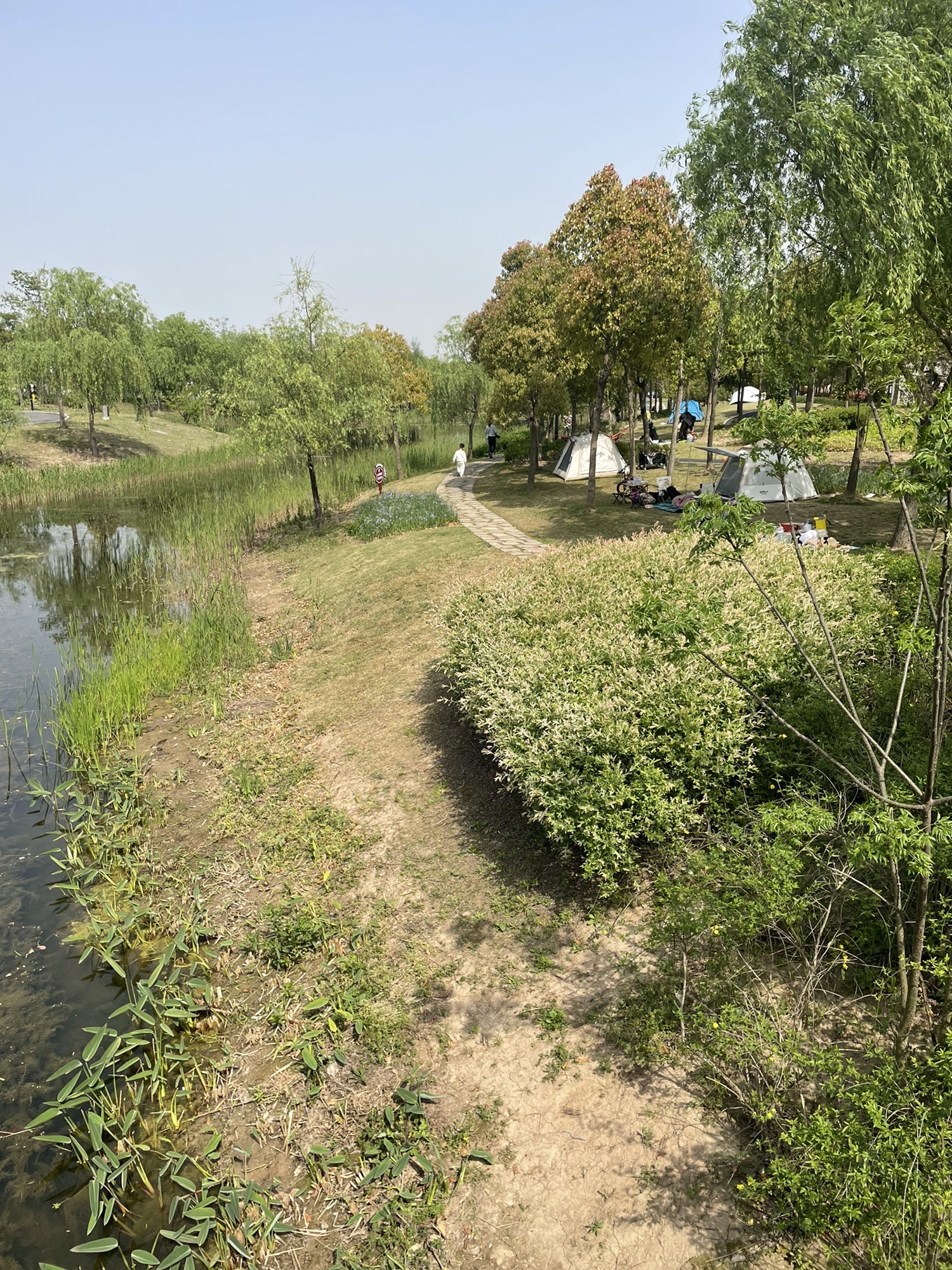 唐城绿地文化公园旅行图片 3