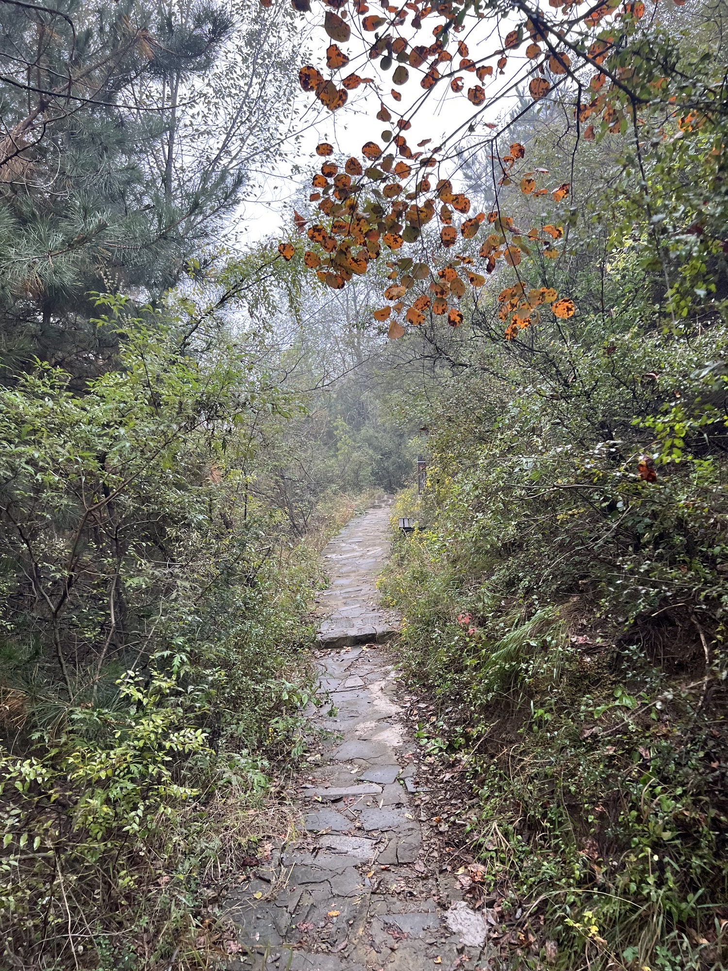 国防公园旅行图片 1