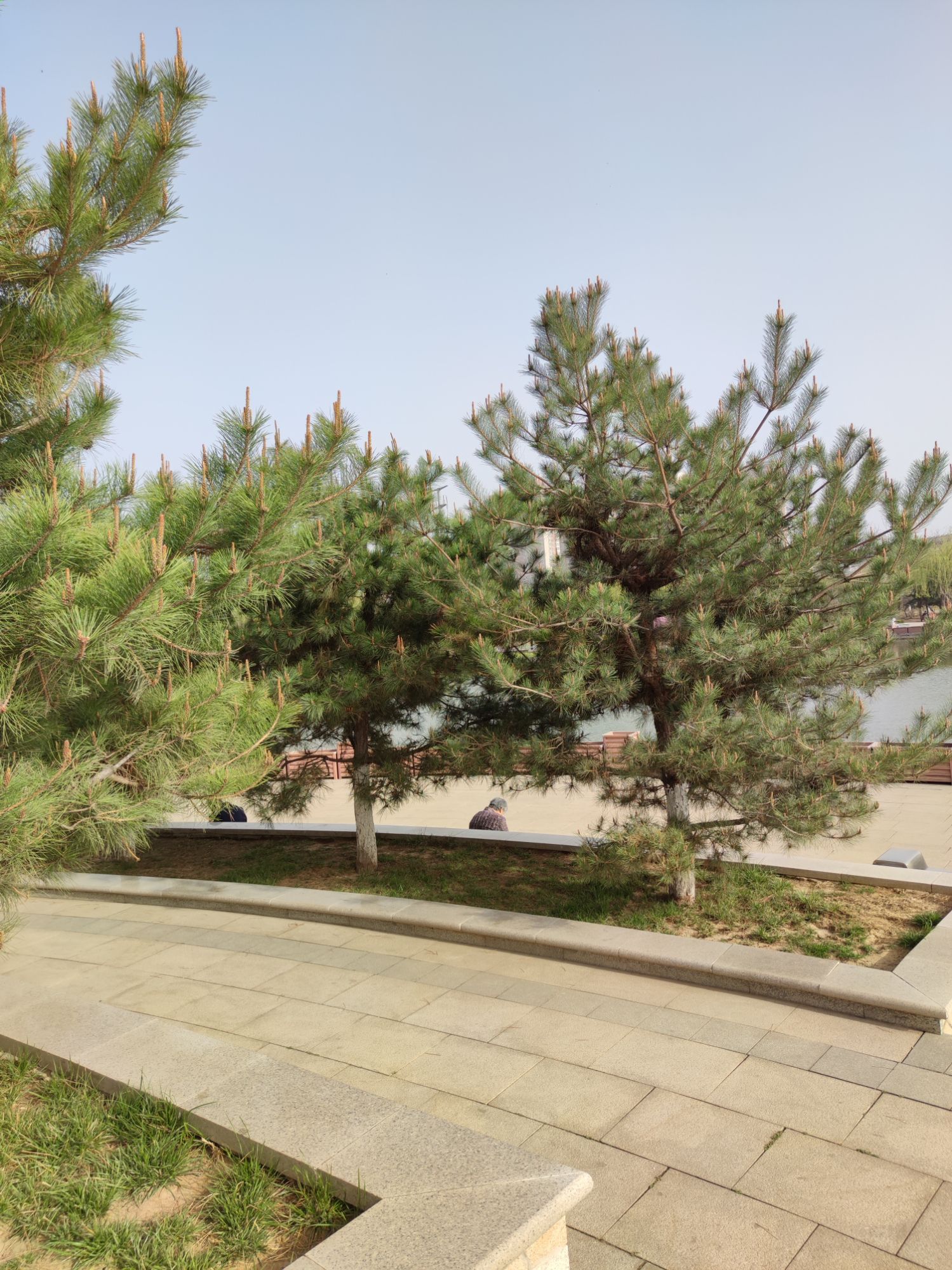 西环公园旅行图片 2