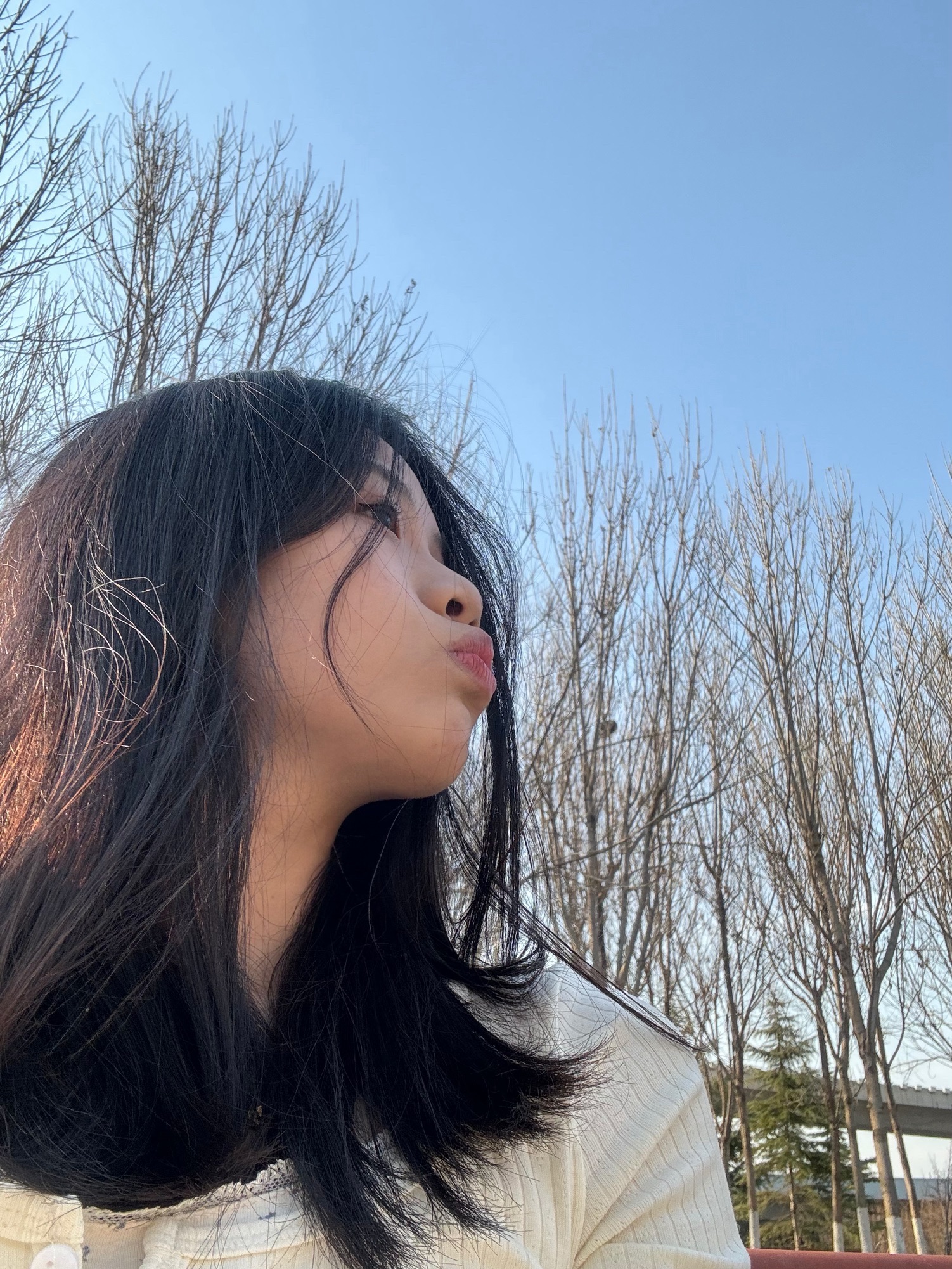 西环公园旅行图片 1