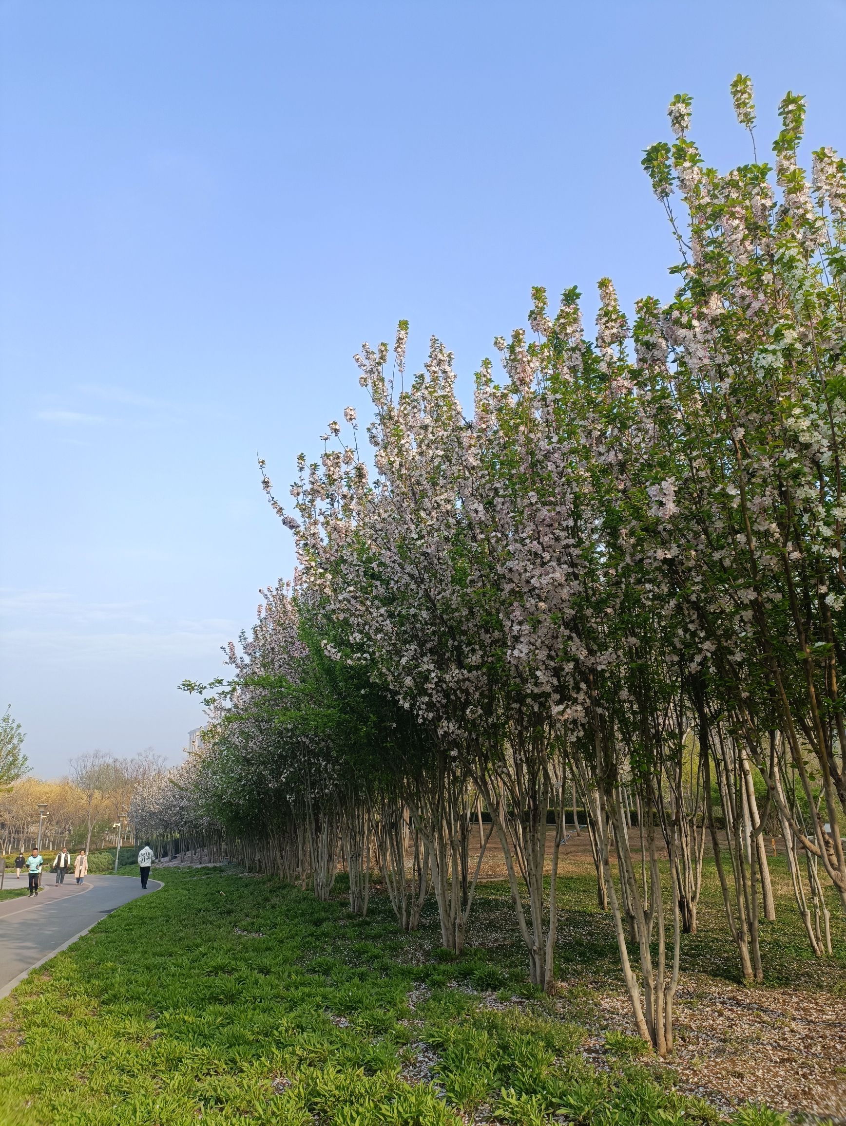 西环公园旅行图片 2