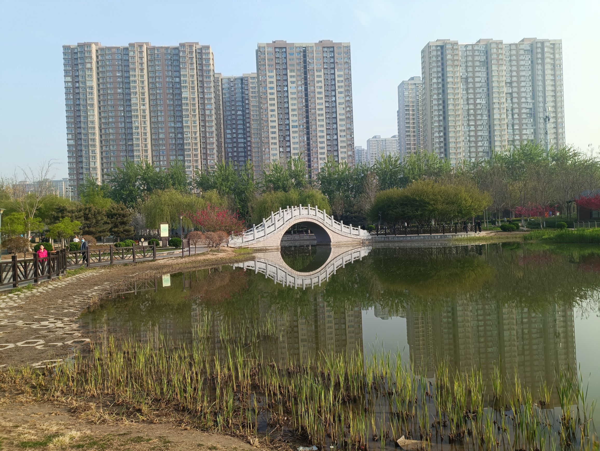 西环公园旅行图片 1