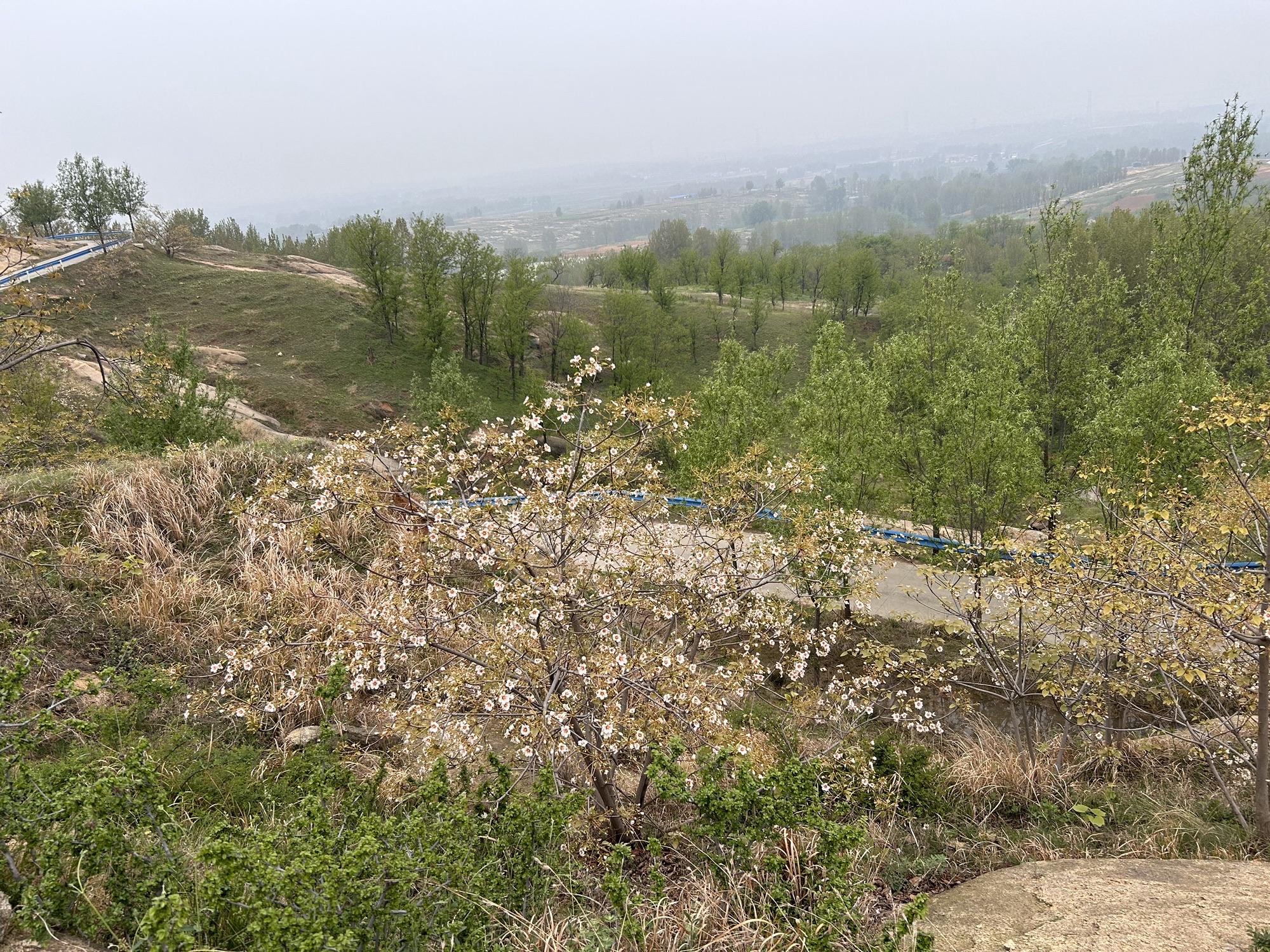 子房山景区旅行图片 1