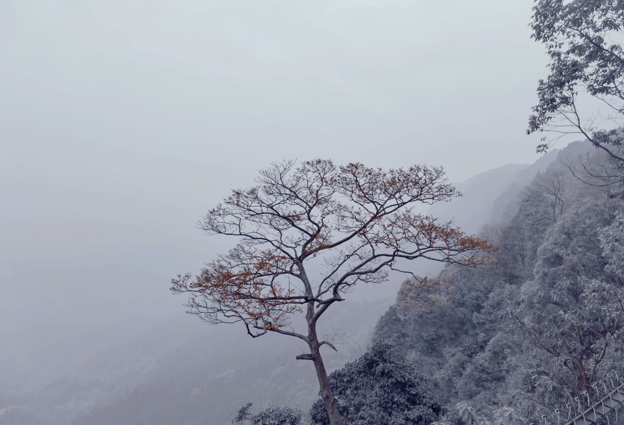 玉屏梯田观景台旅行图片 2