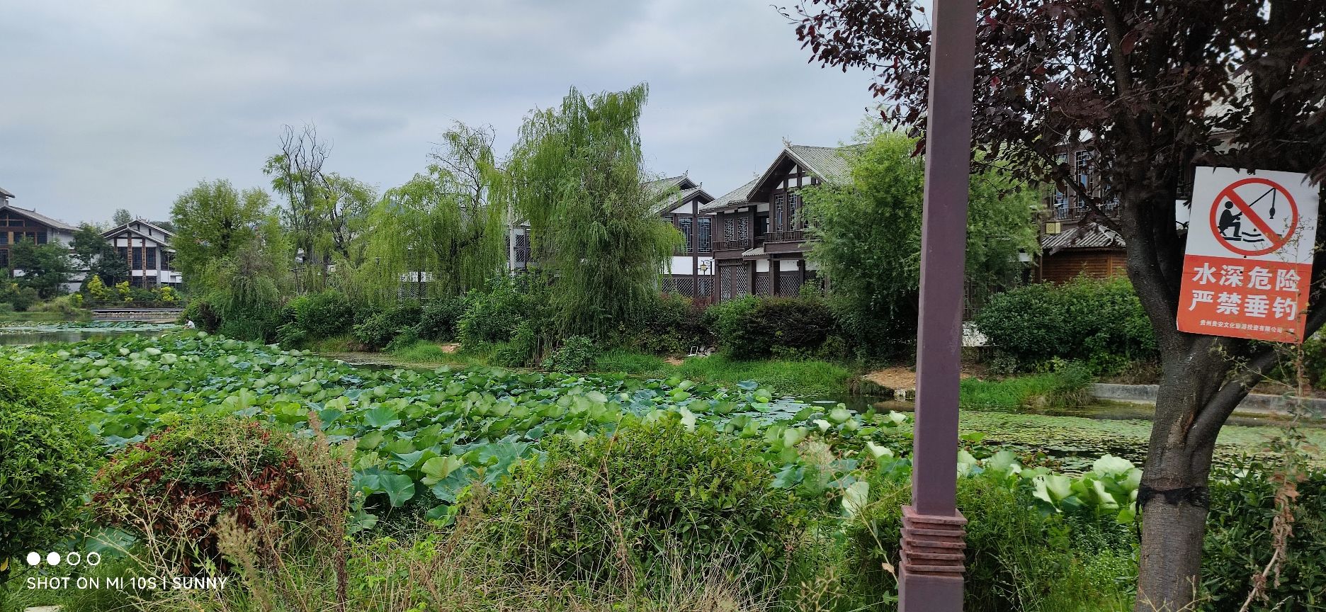龙山湖旅行图片 2