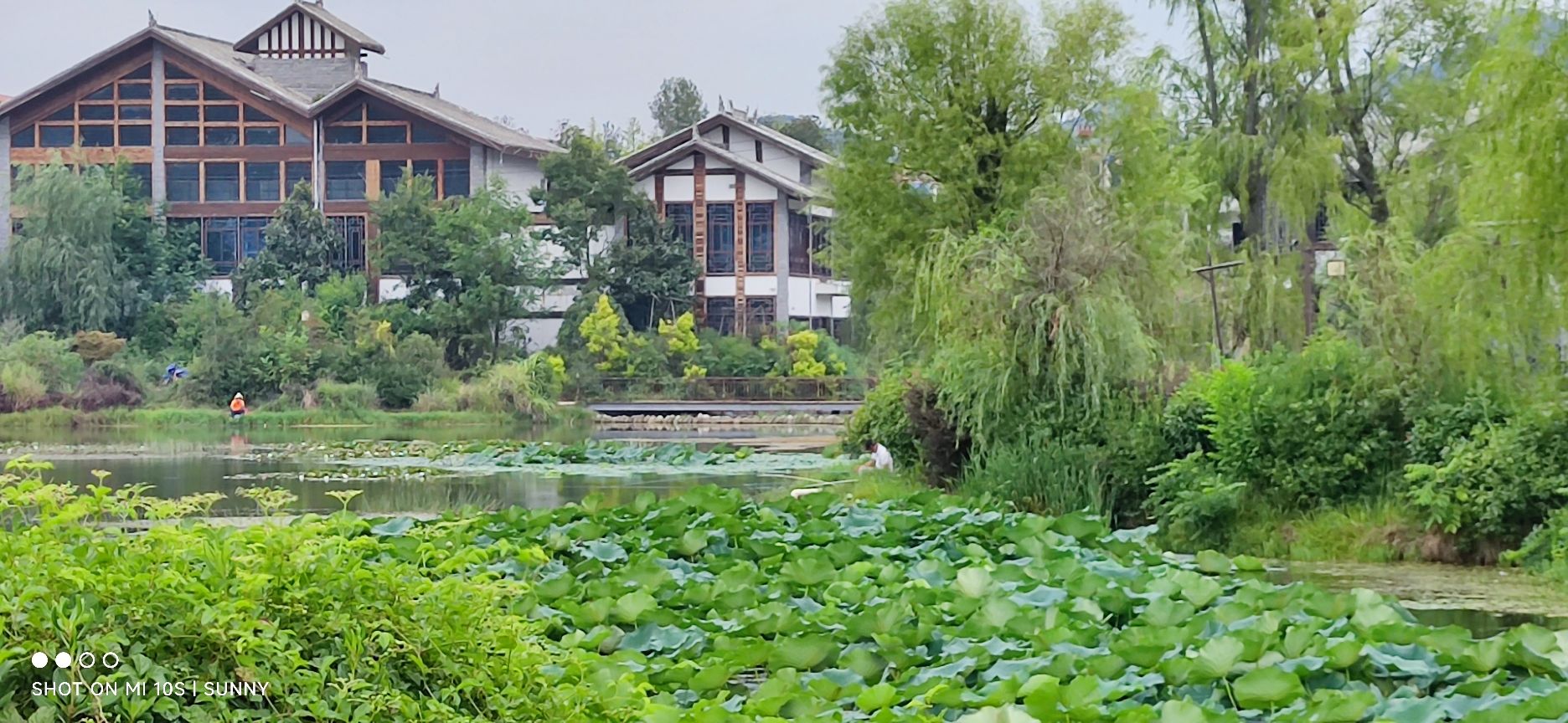 龙山湖旅行图片 3