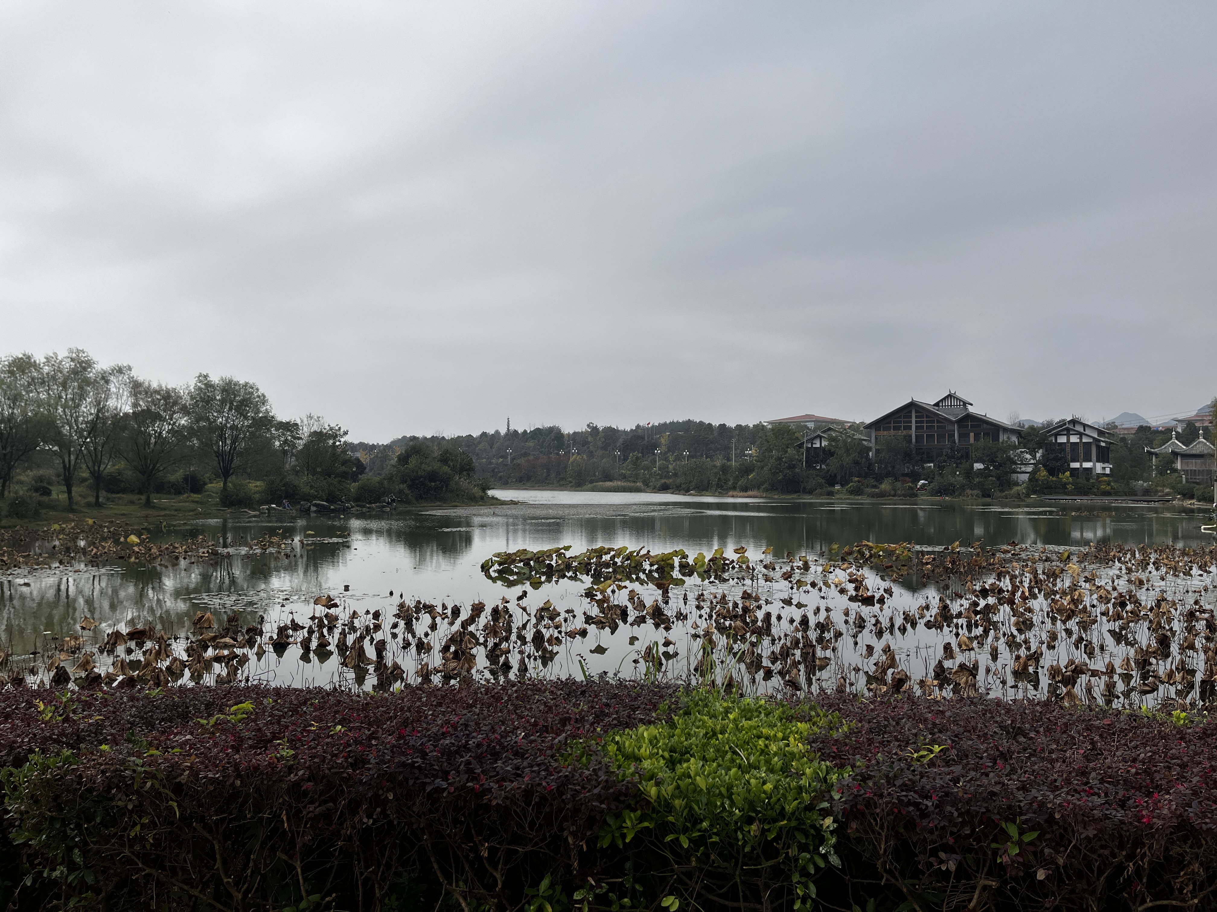 龙山湖旅行图片