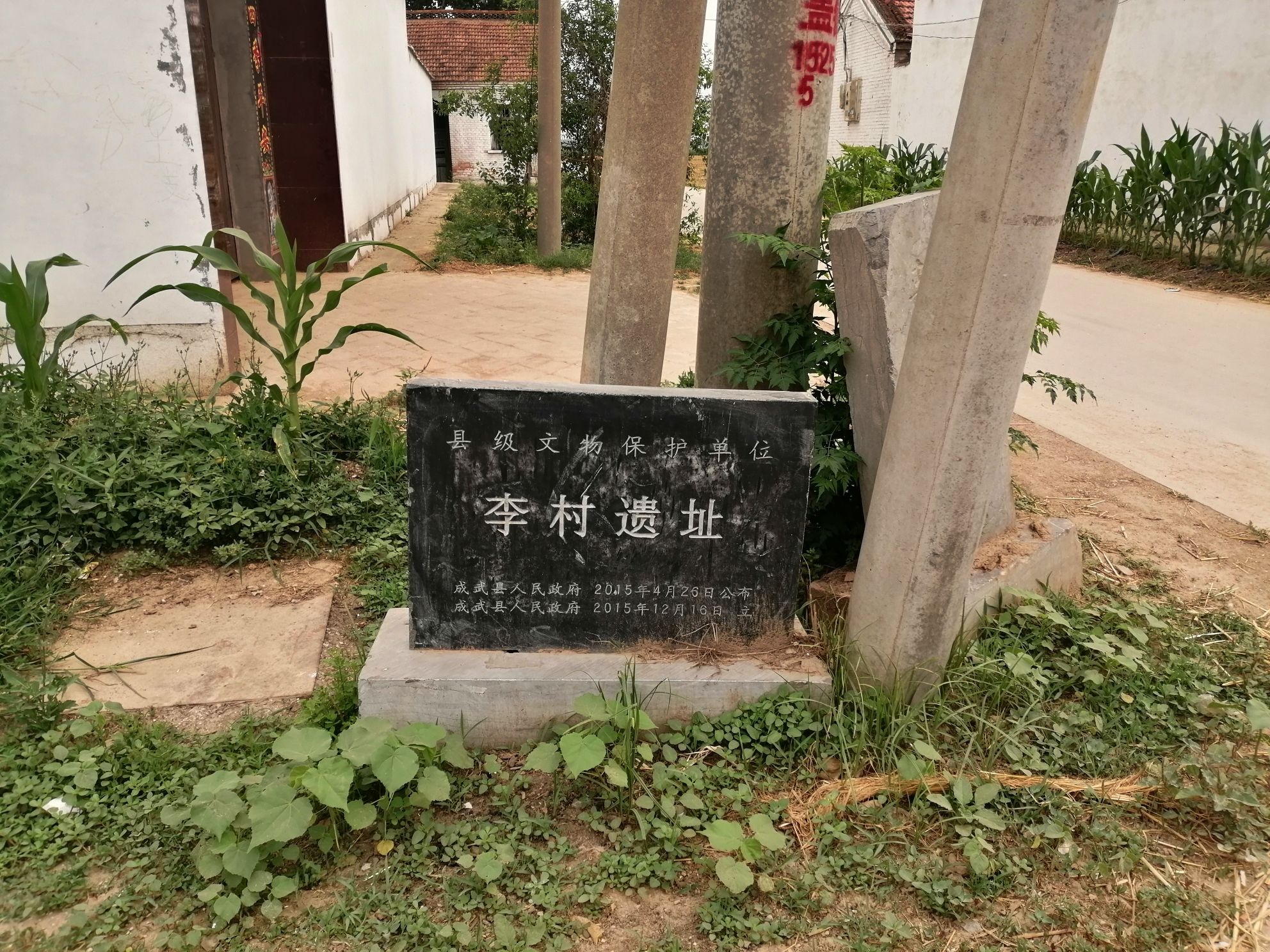 李村遗址旅行图片