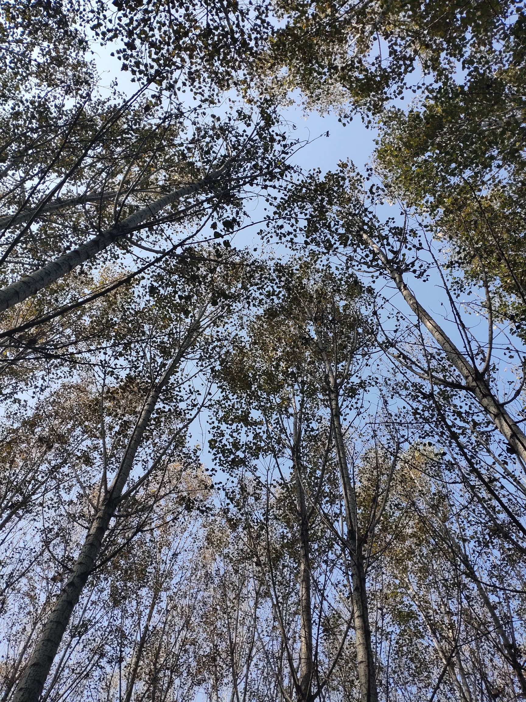 济窦岩旅行图片 1