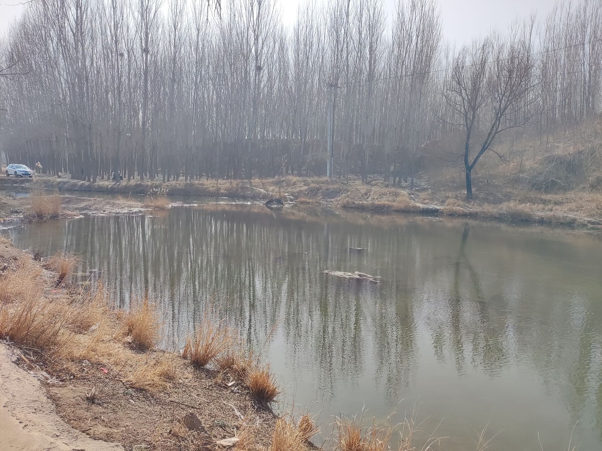 济窦岩旅行图片 1