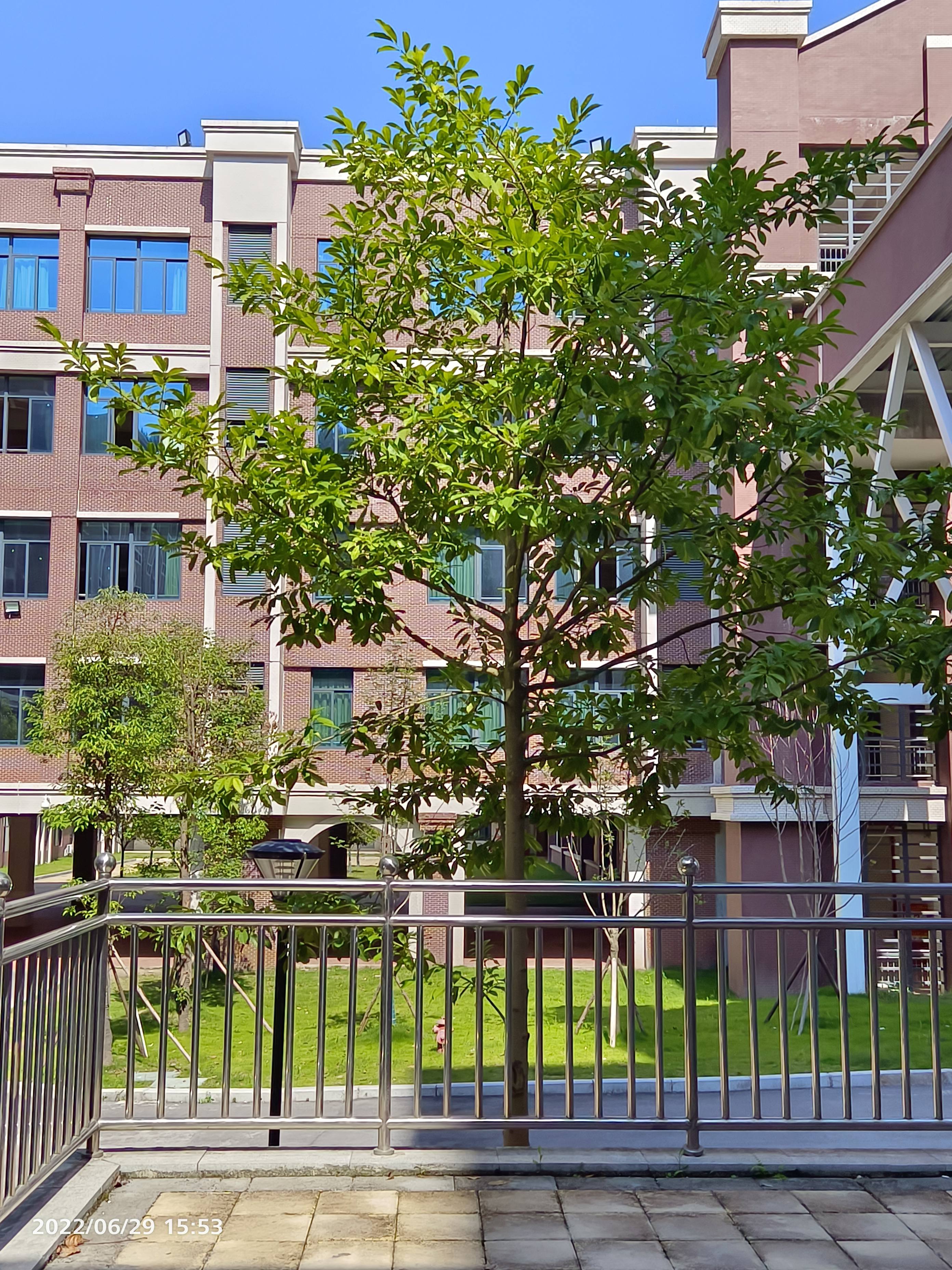 巴中光正实验学校