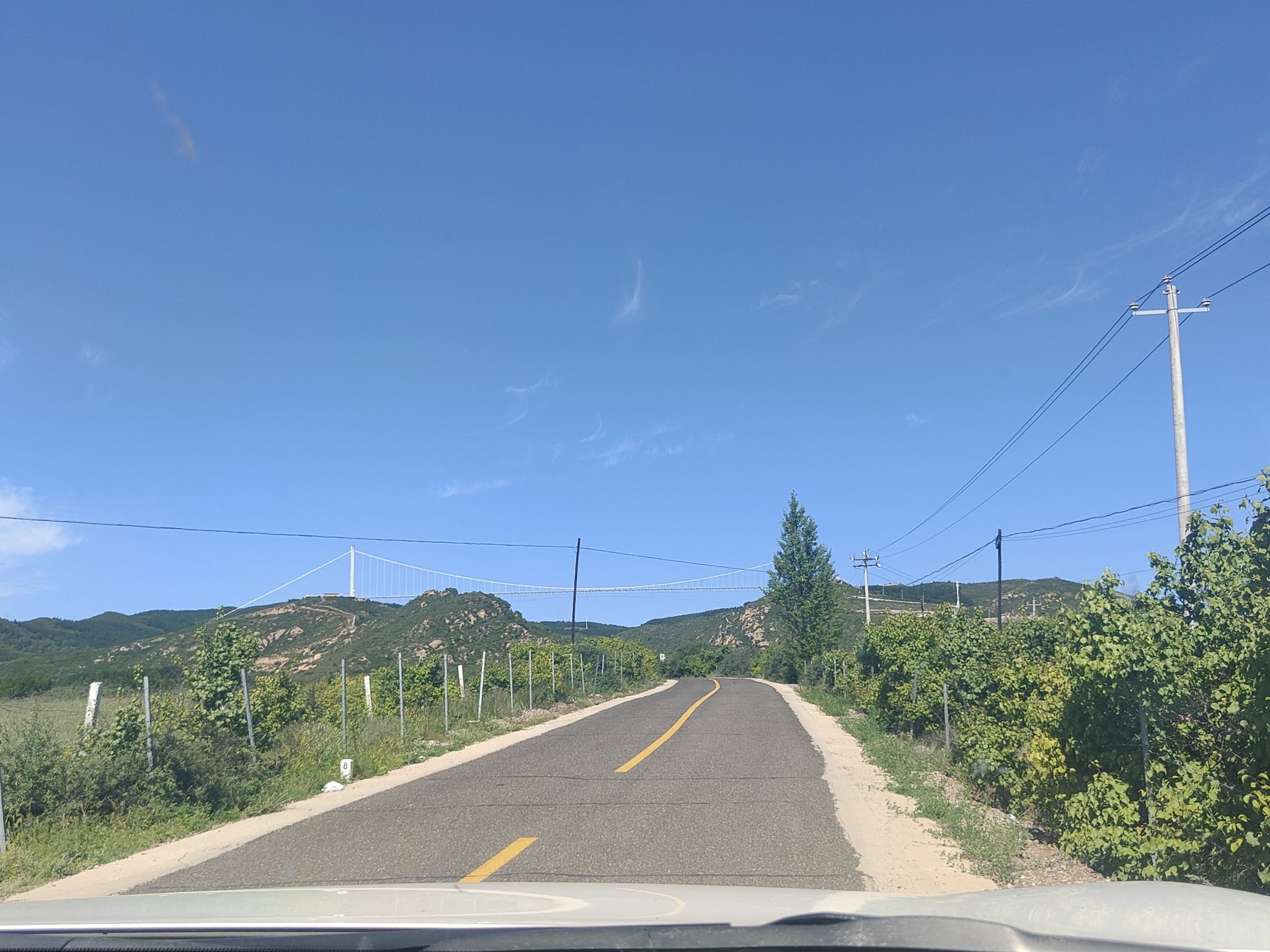 大青山国家级森林公园旅行图片 3