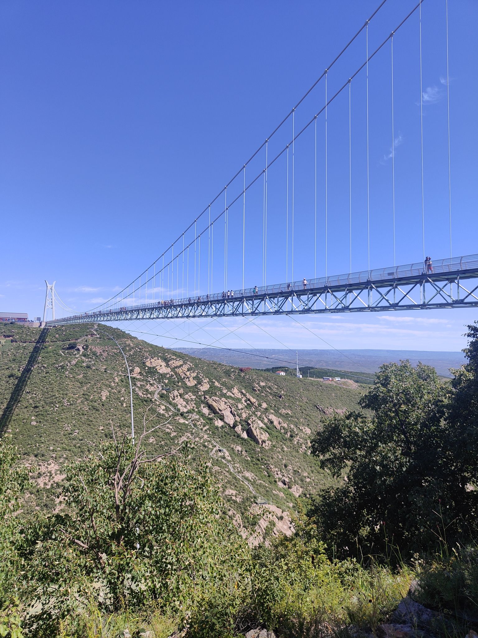 大青山国家级森林公园旅行图片 2