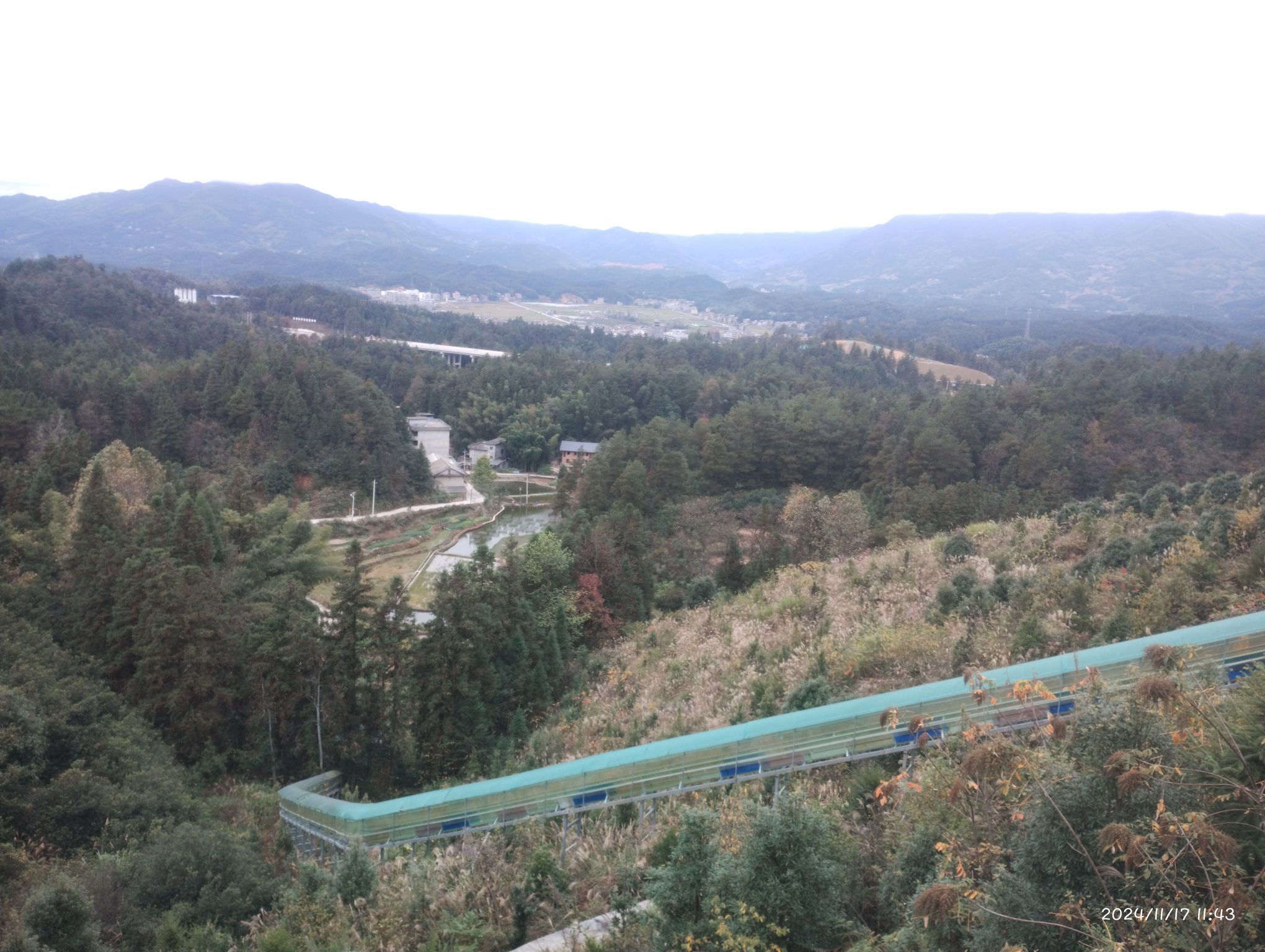 金丰花海旅行图片 3